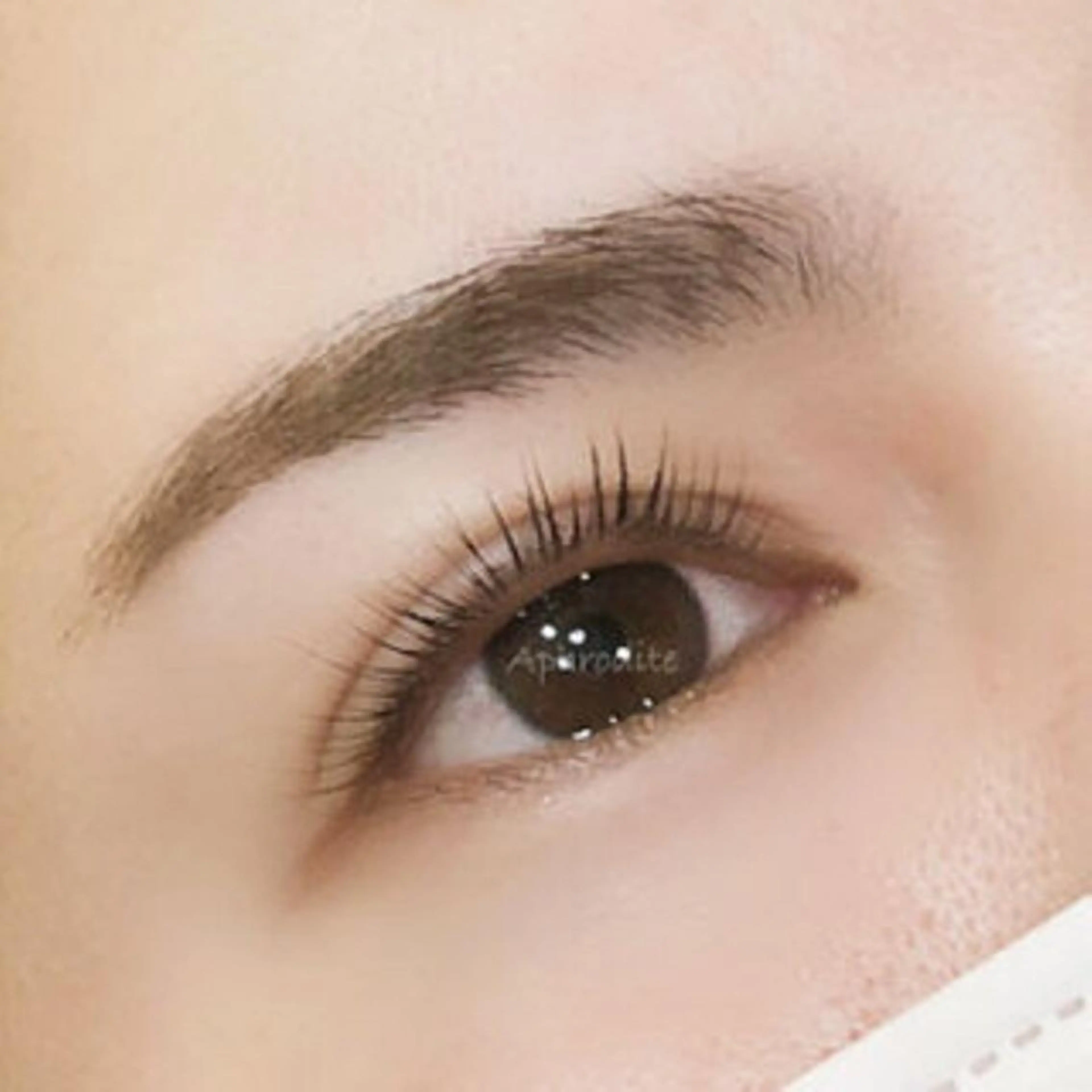 マツエク・マツパ 恵比寿半個室サロン✨ SASAKIのマツエク・マツパデザイン