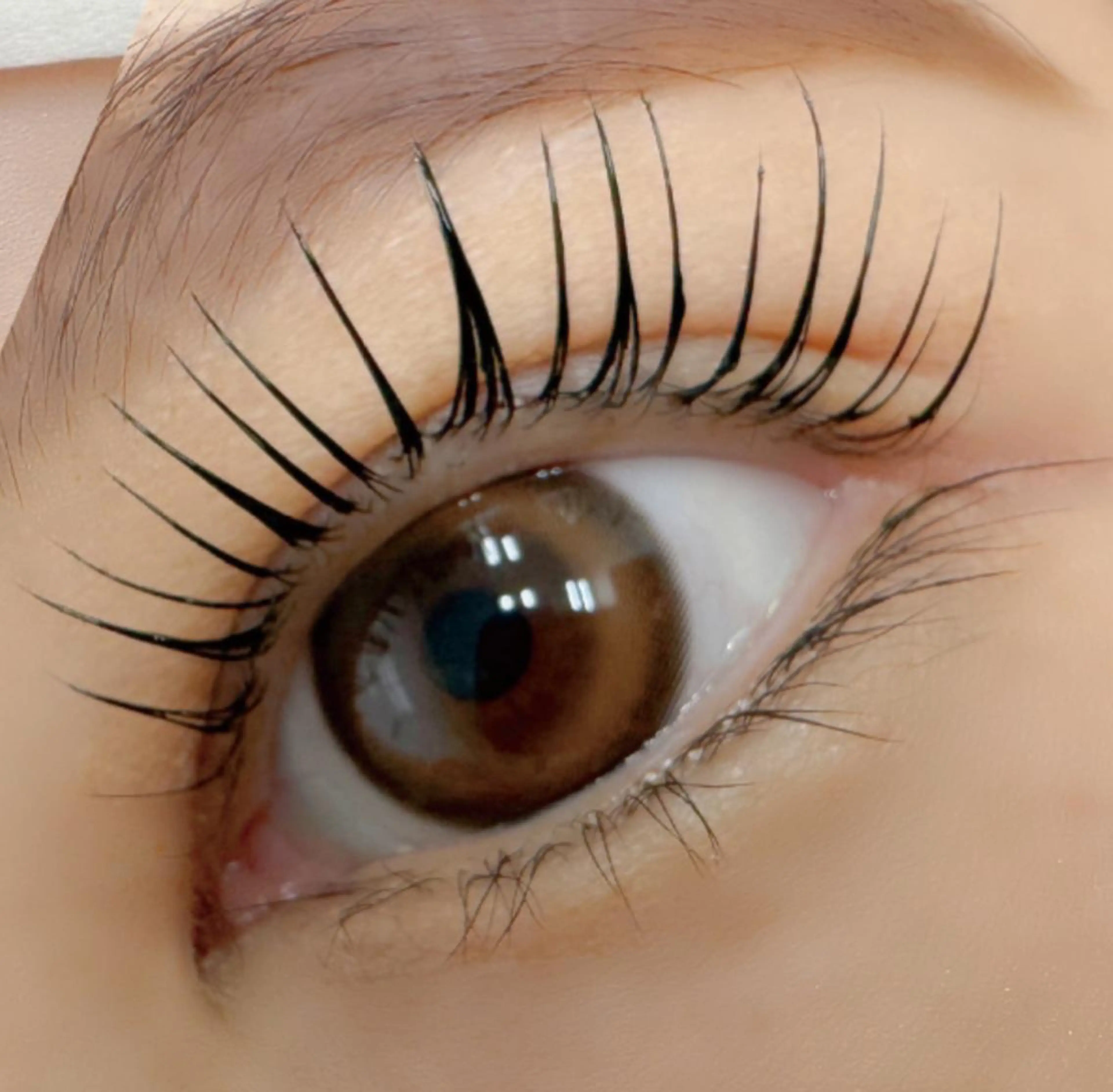 【モデル募集2名】マスカラパーマ(上) 4000円 (現金のみ) ⚠️必ず注意事項をお読みくださいの写真