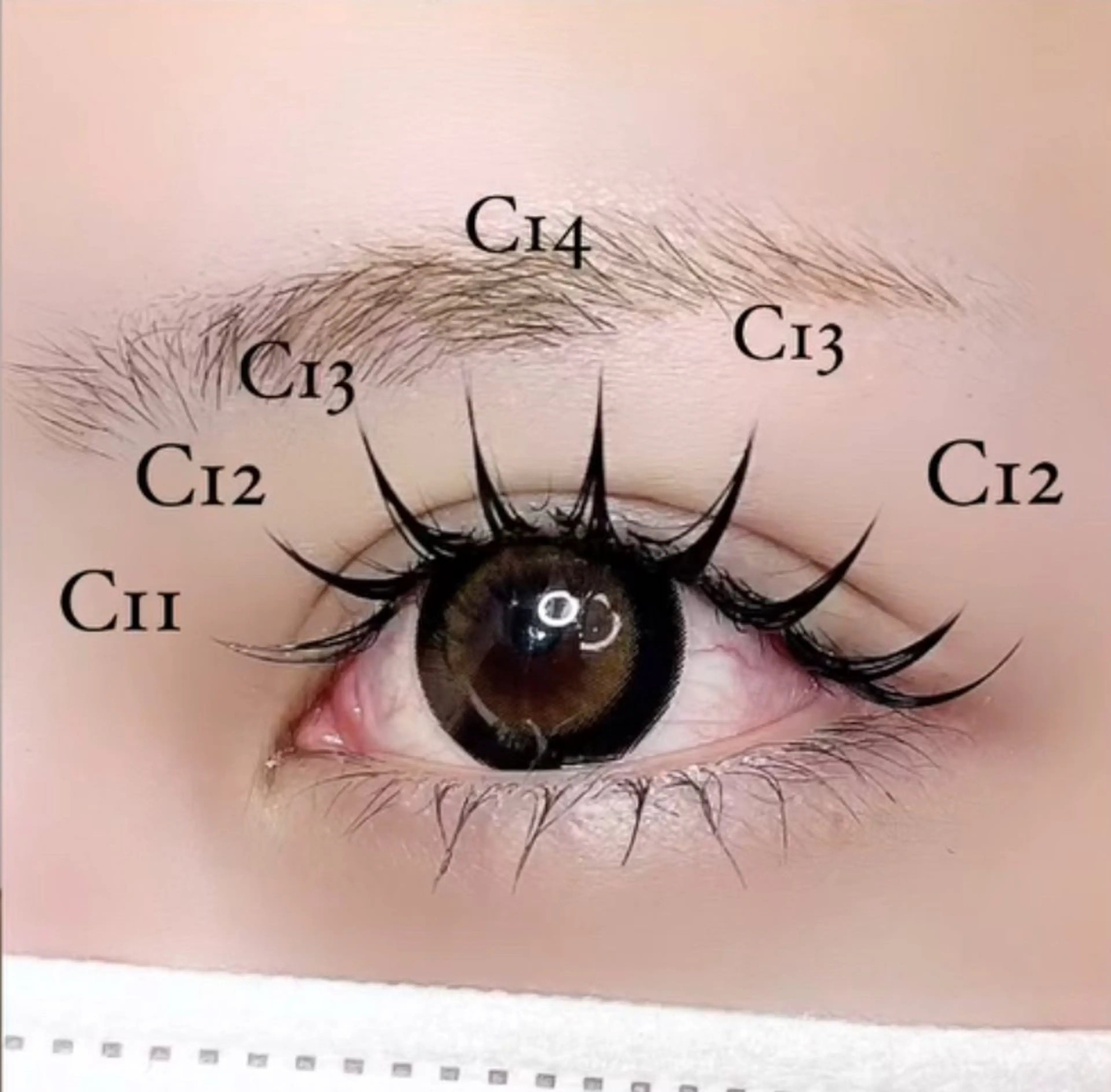 マツエク・マツパ マツエク ELFIN所属・【束感まつ毛 】 ELFINのマツエク・マツパデザイン