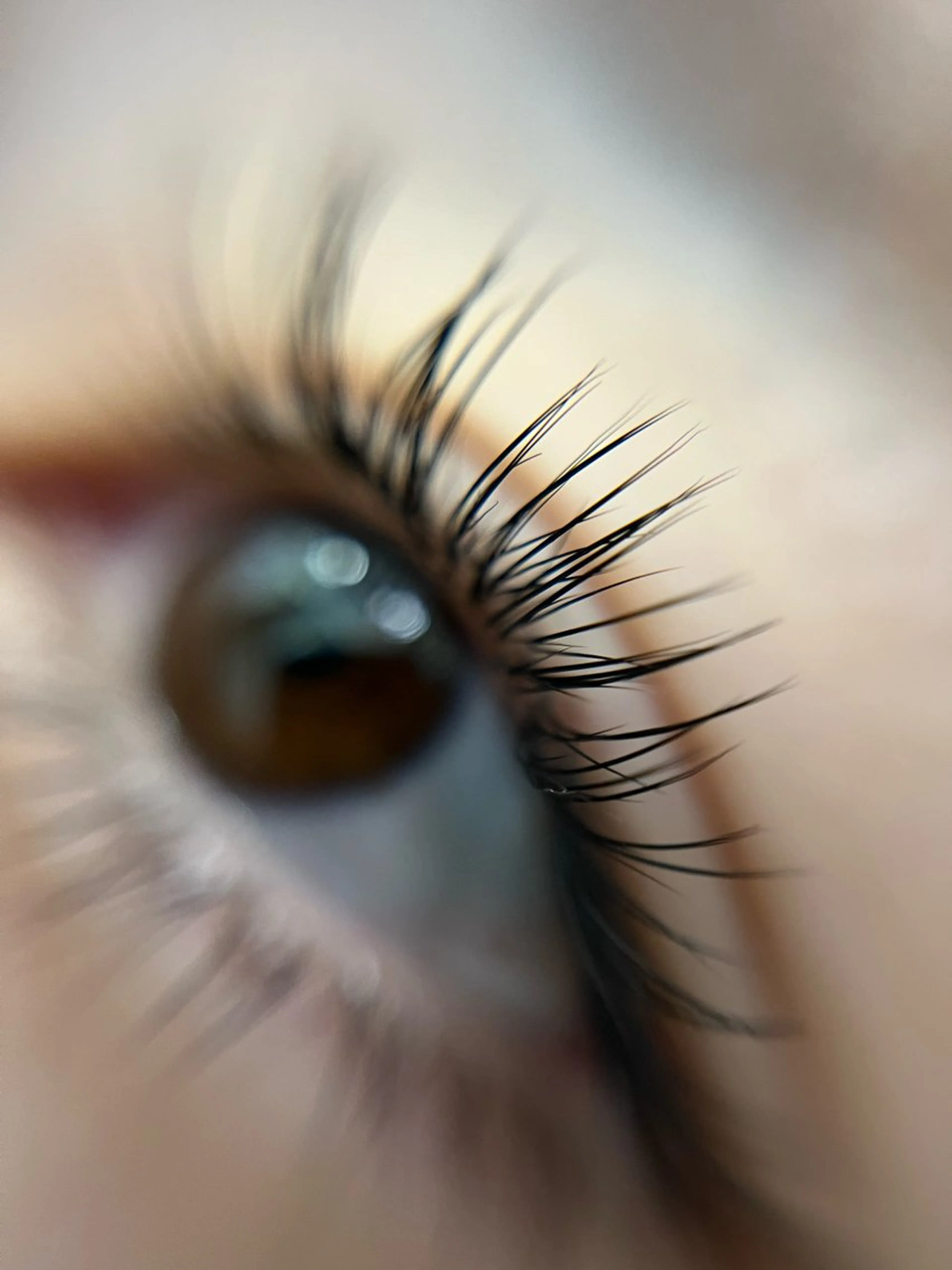 マツエク・マツパ フラットラッシュ マツエク 華恋🪼 《 Blink🪻》のその他イメージ