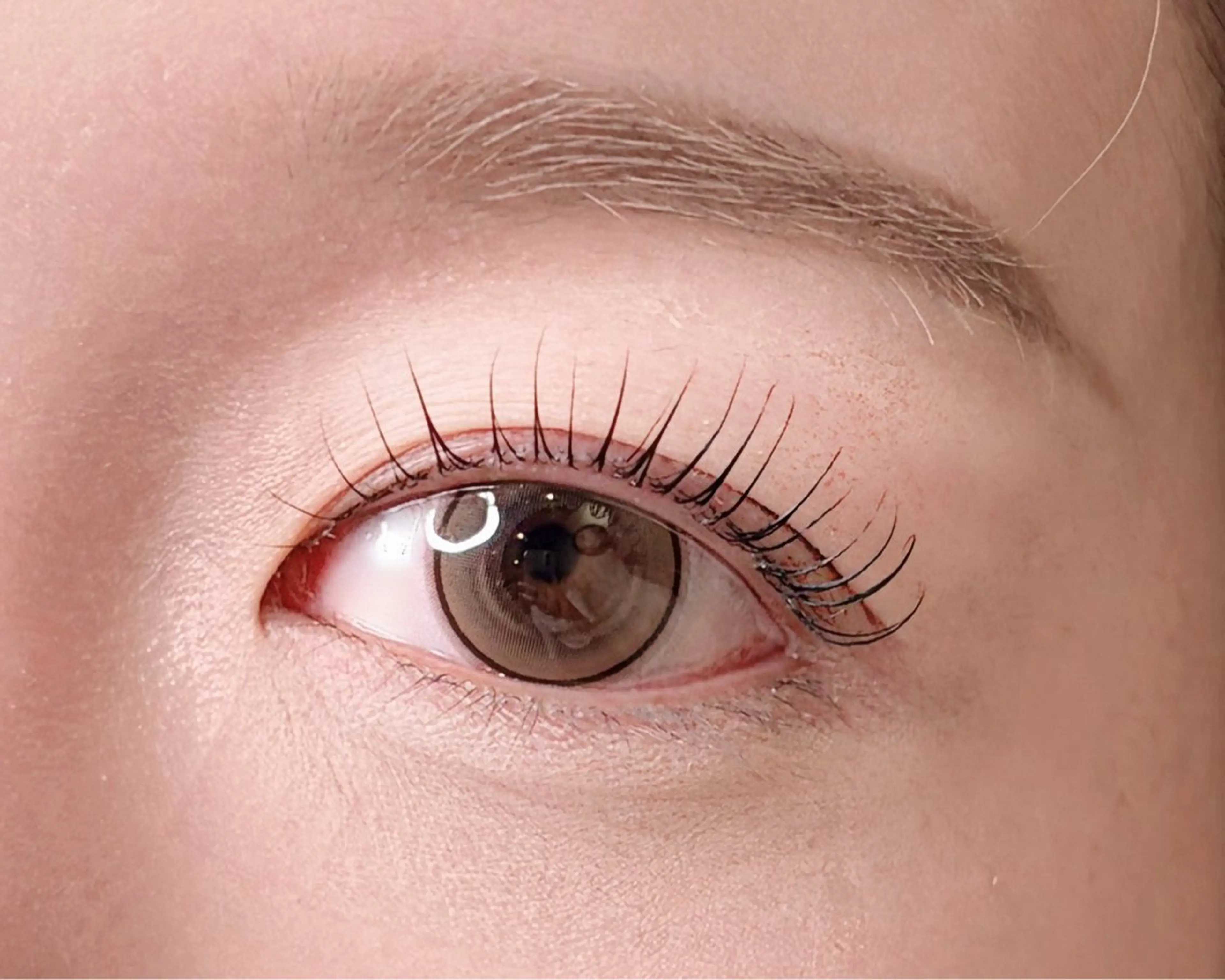 【期間限定】 似合わせラッシュリフト+コーティング付き🎀🤍の写真