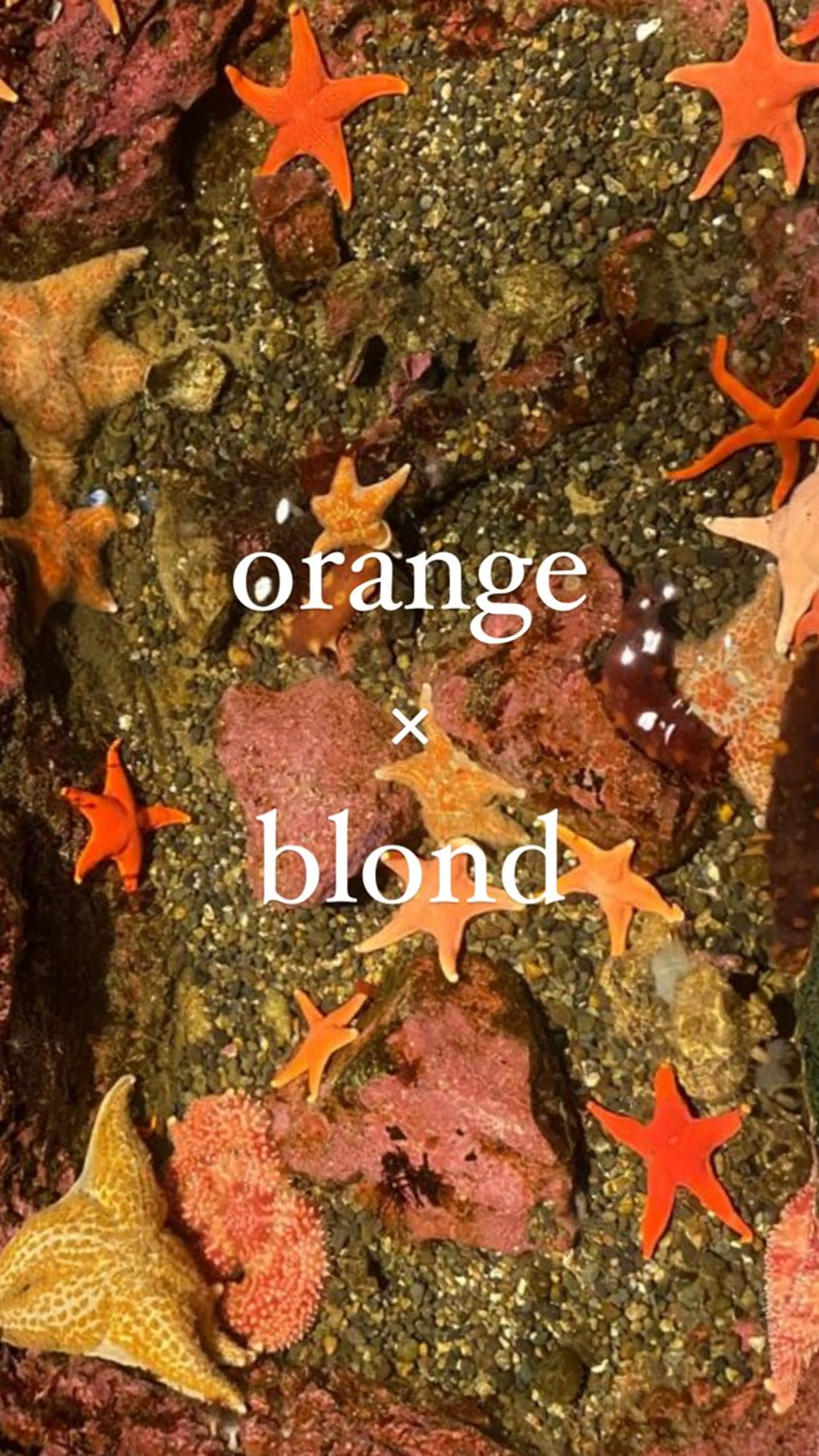 カラー 束所属・毛流れセンターパート Sakiのヘアスタイル