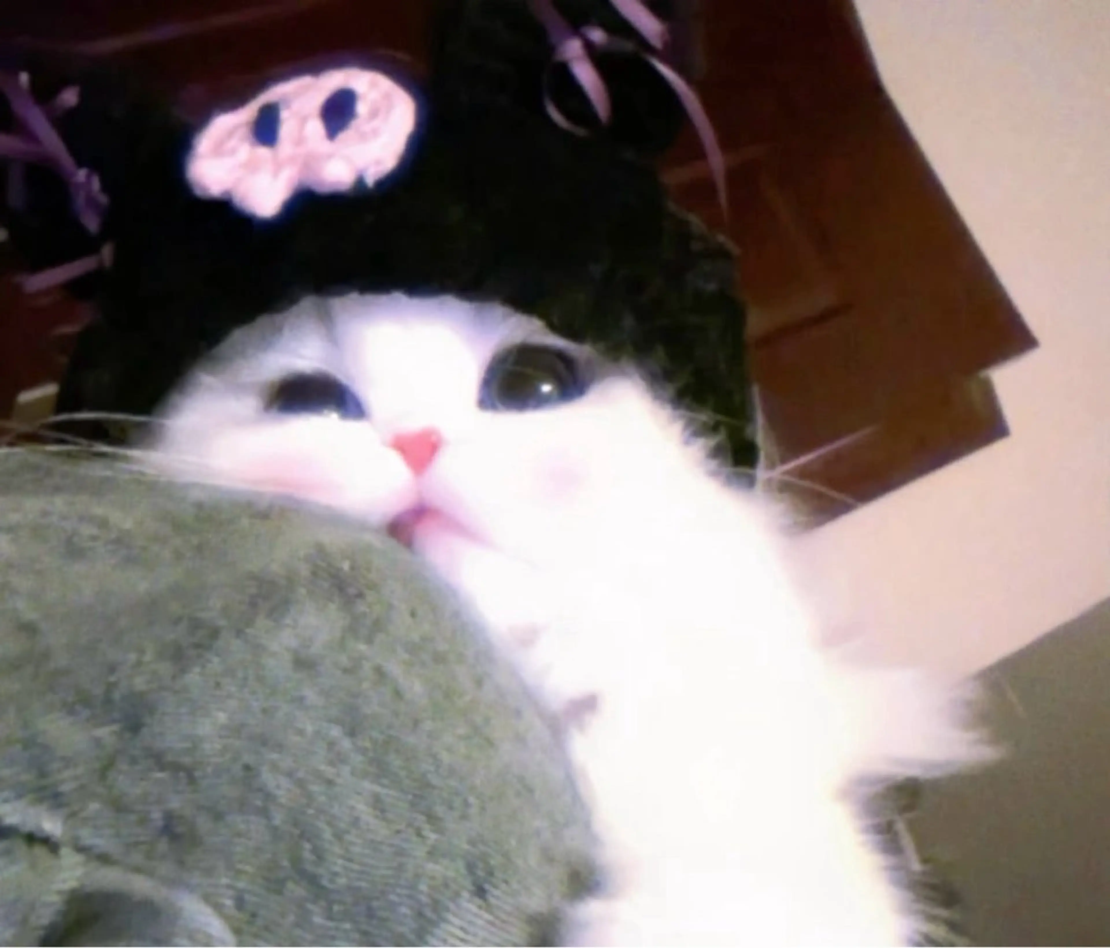 マツエク・マツパ eyelist. mizuki🐈‍⬛の眉毛・アイブロウイメージ