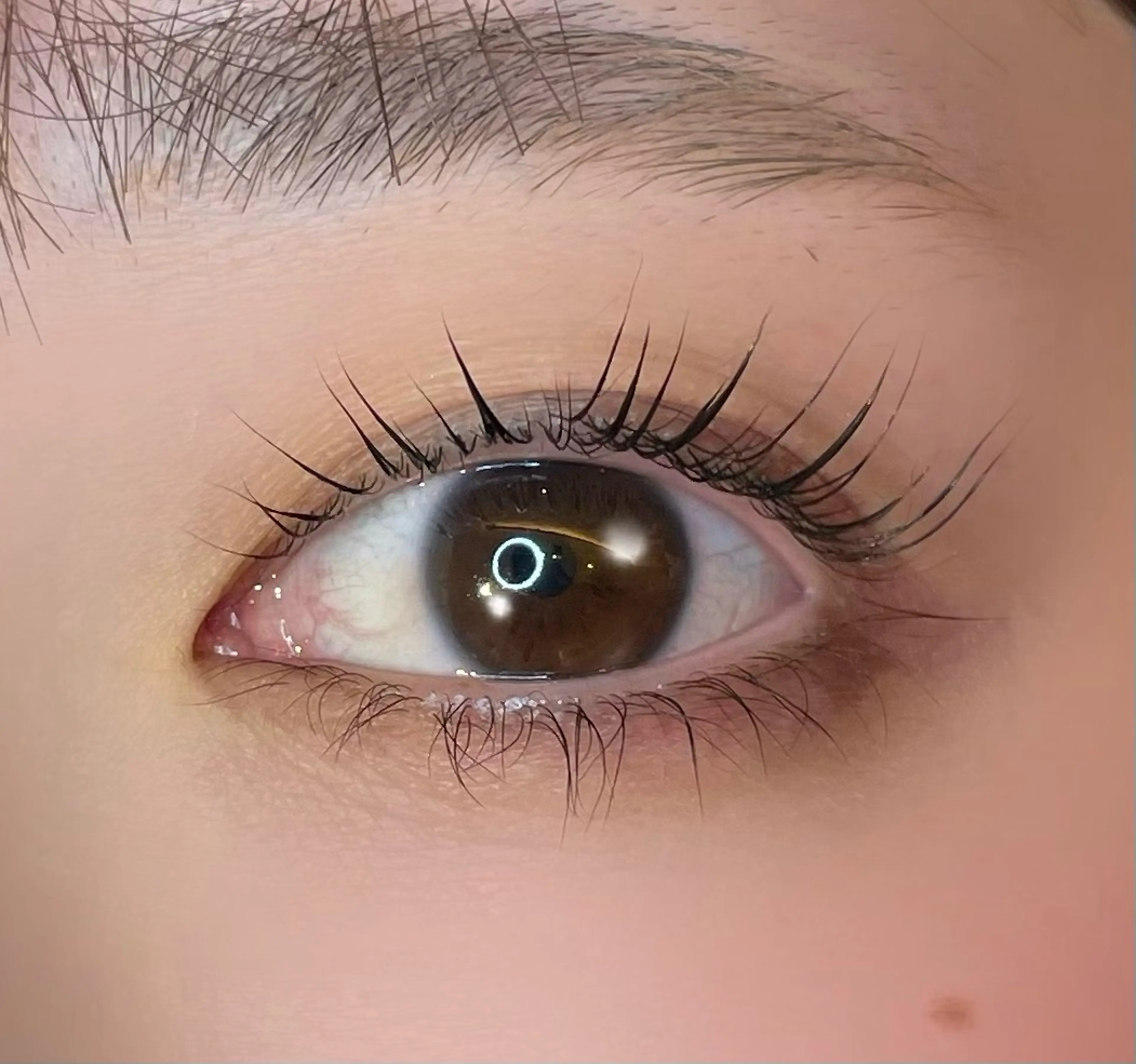 【12月土日祝日限定👌🏻 ̖́-︎】🩵束感まつ毛パーマ🩵コーティング仕上げの写真