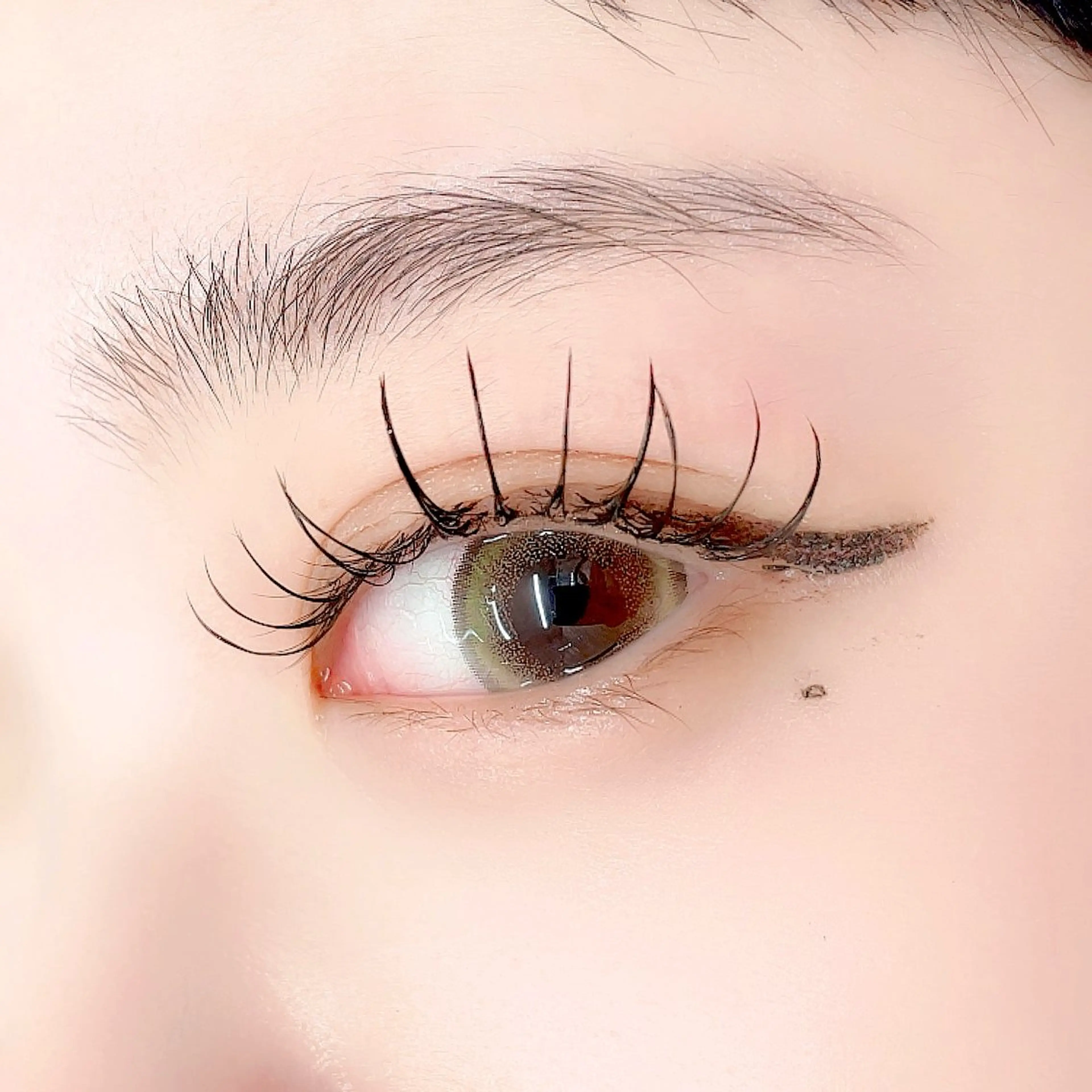 マツエク・マツパ 束感まつ毛 キュート Dカール フラットラッシュ Morganite 🦋 ÿui 🦋のマツエク・マツパデザイン