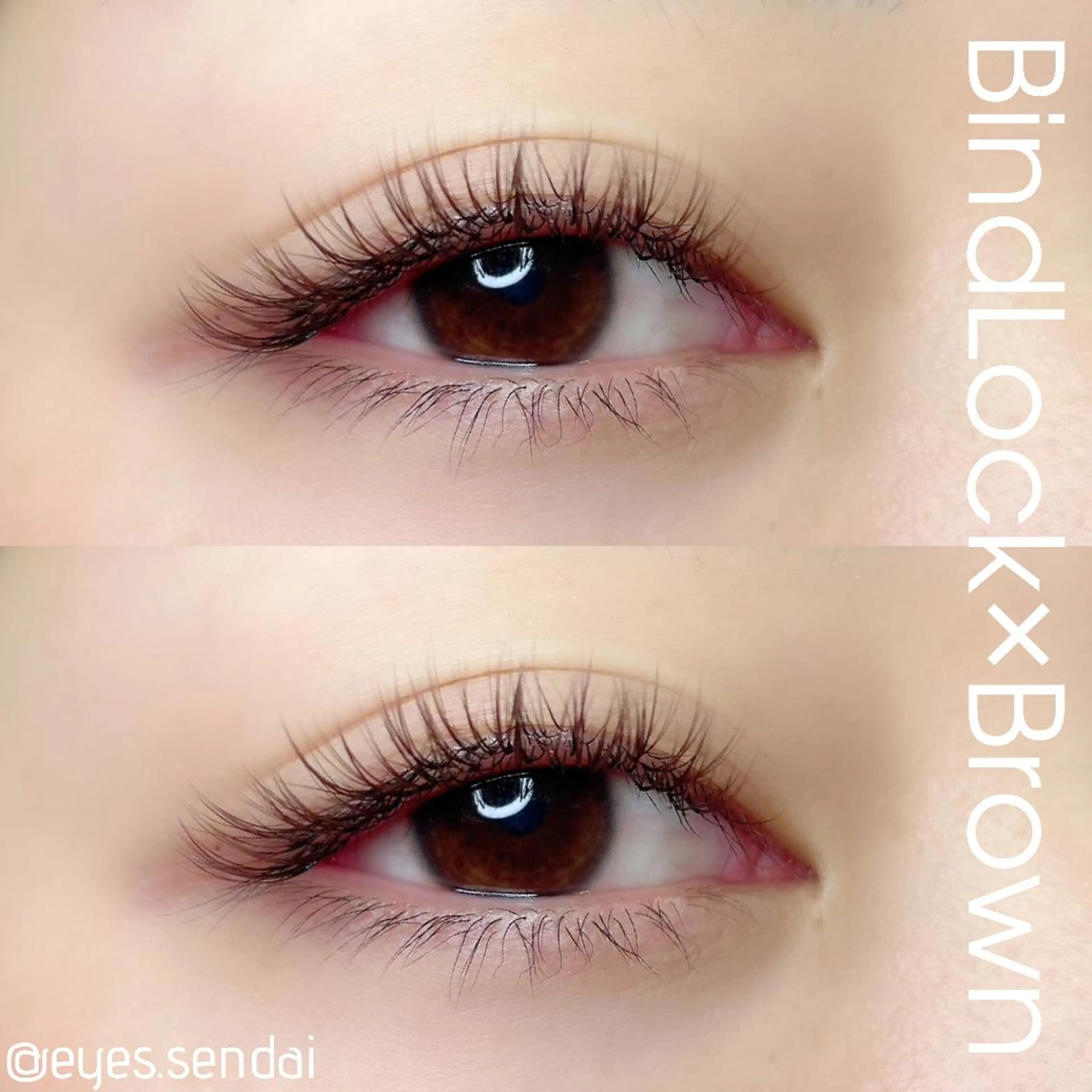 付け足しに⭕️バインドロック80束❤︎リペア込みの写真