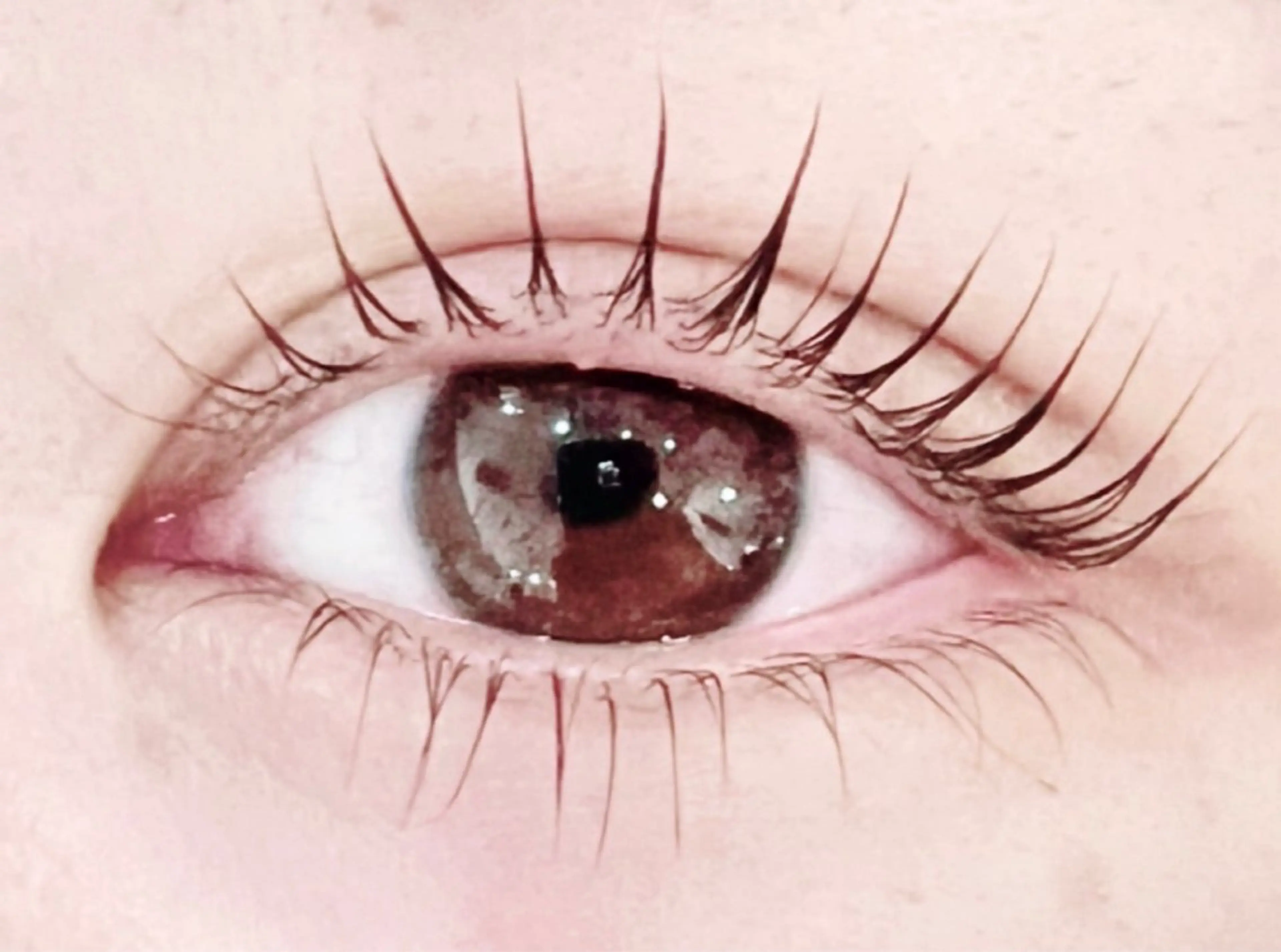 【モデルメニュー📷💕】パリジェンヌ＋TRコーティング🌷撮影okな方限定◎の写真