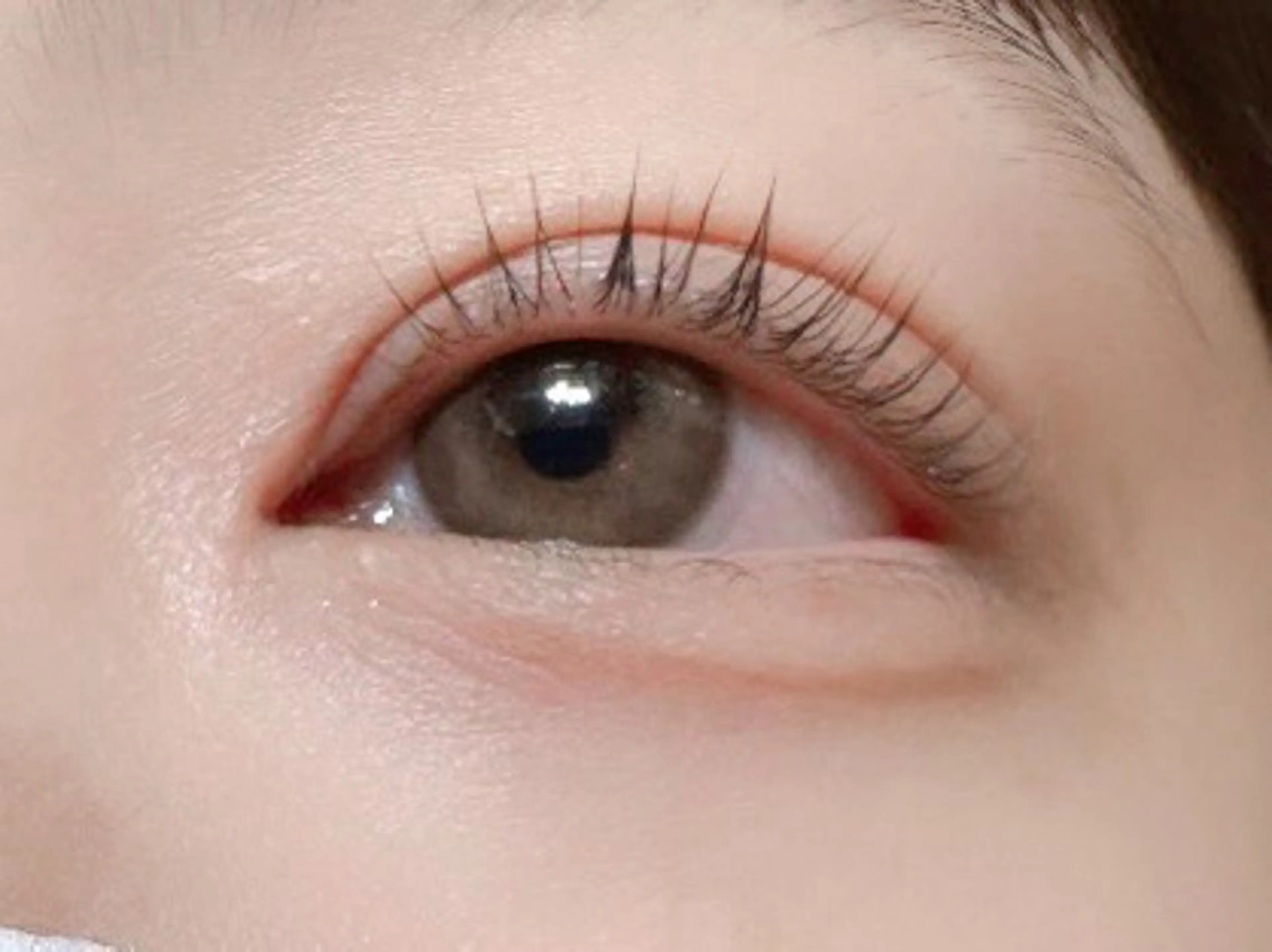 【口コミ割引】選べるリフト（まつげパーマ︎/パリジェンヌラッシュ）🖤✮5分前来店必須の写真