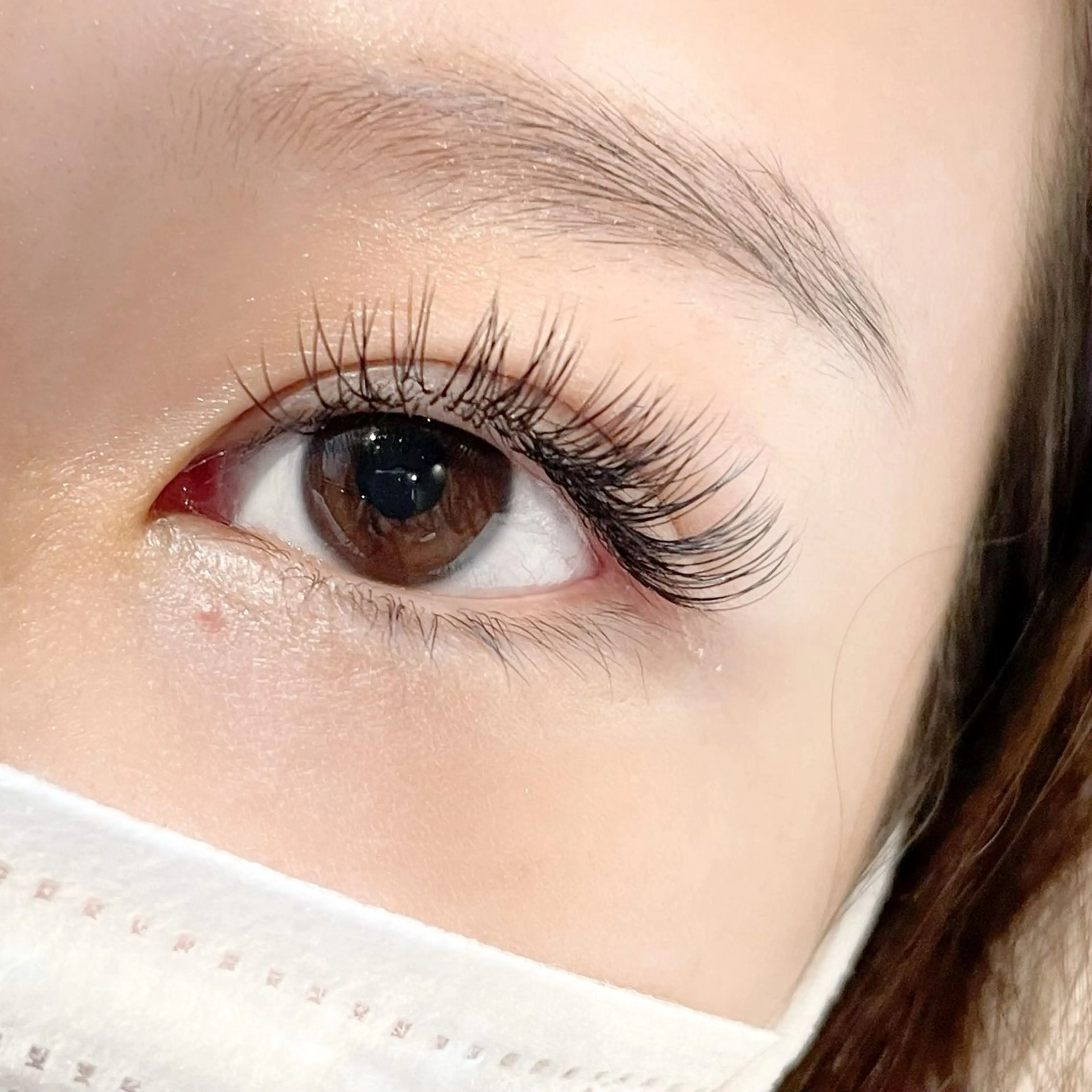 フラットラッシュ 160本の写真