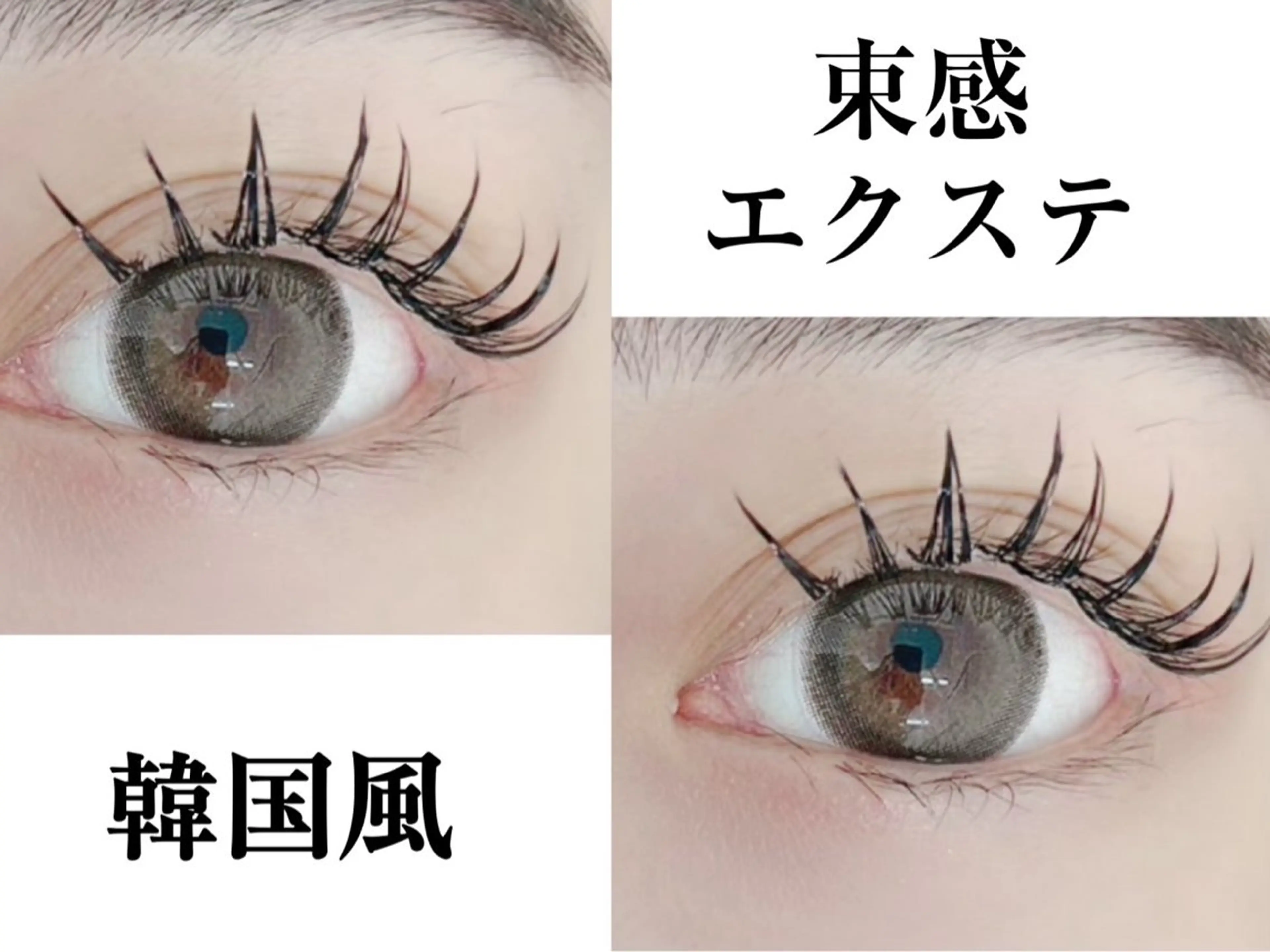 19(金)限定【持続力×束感】韓国風ダブルフラット80束+コーティング¥4990の写真