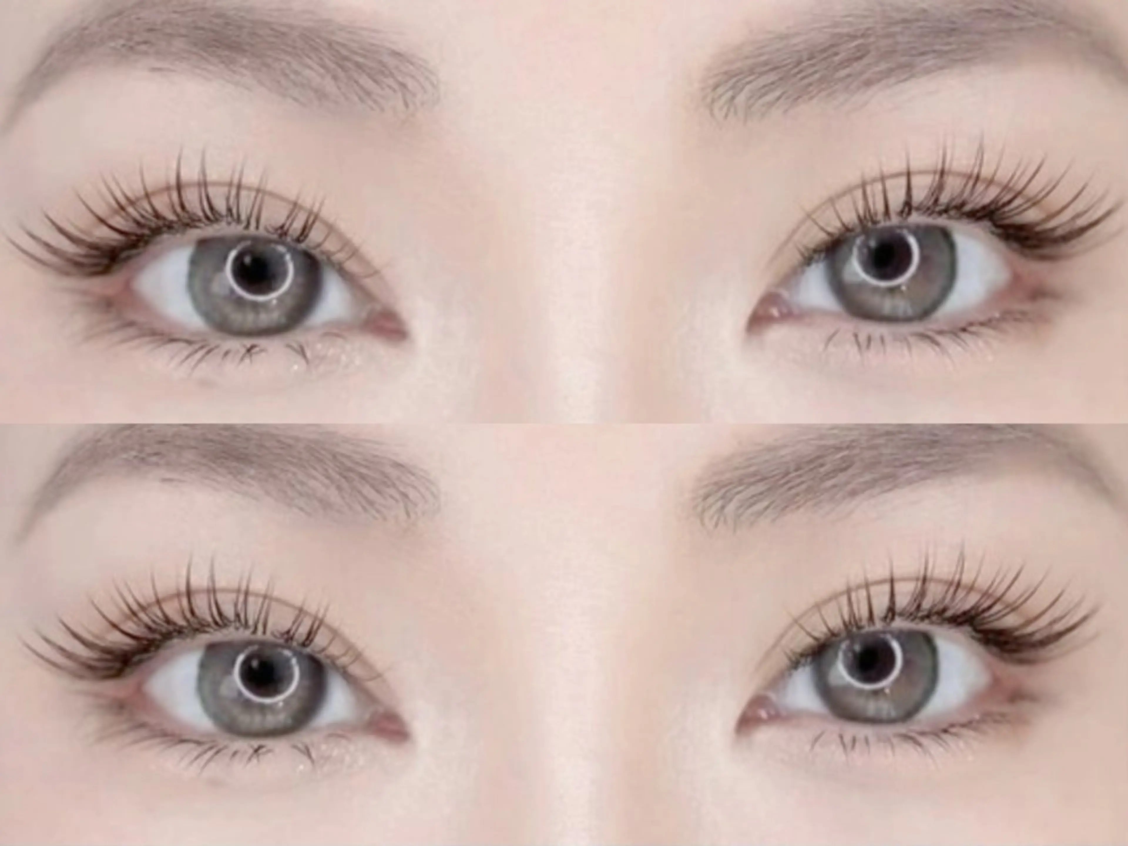 【パリエク】パリジェンヌ×フラット60束＋アイシャンプーの写真