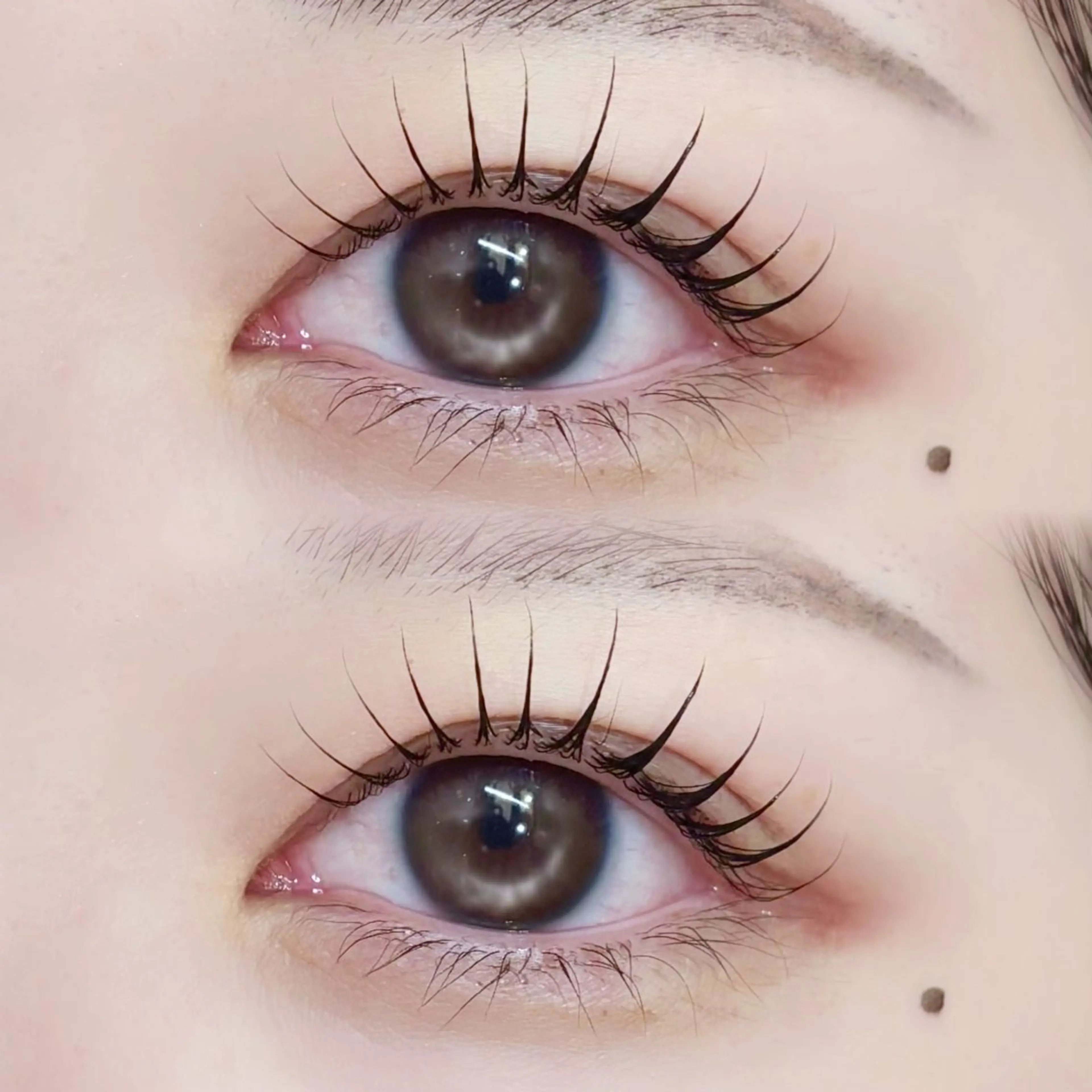 🎀ケラチントリートメント＋アイシャンプー付き！ラッシュリフトorパリジェンヌラッシュリフト🎀の写真