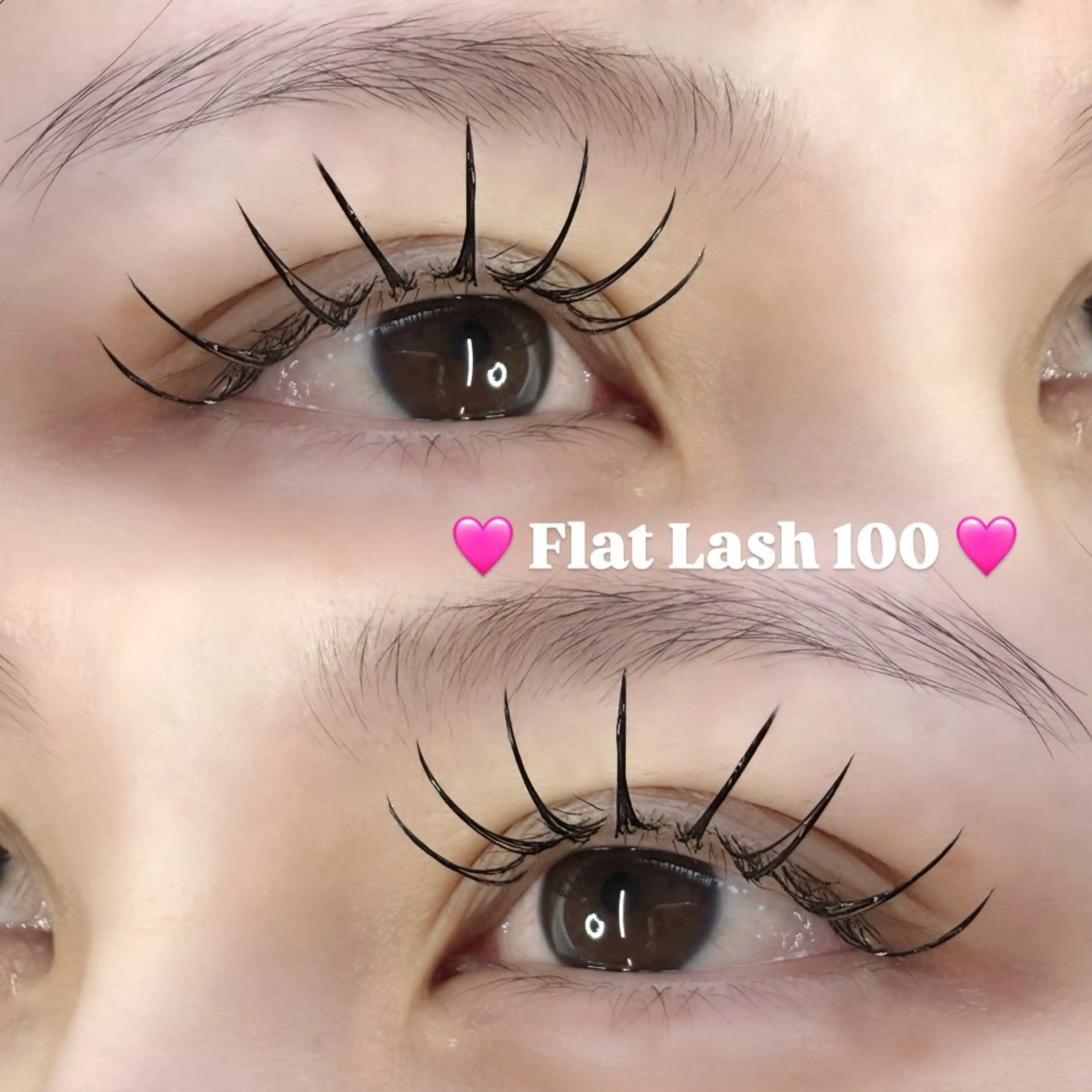 〖Flat Lash〗フラットラッシュ100本🧸の写真