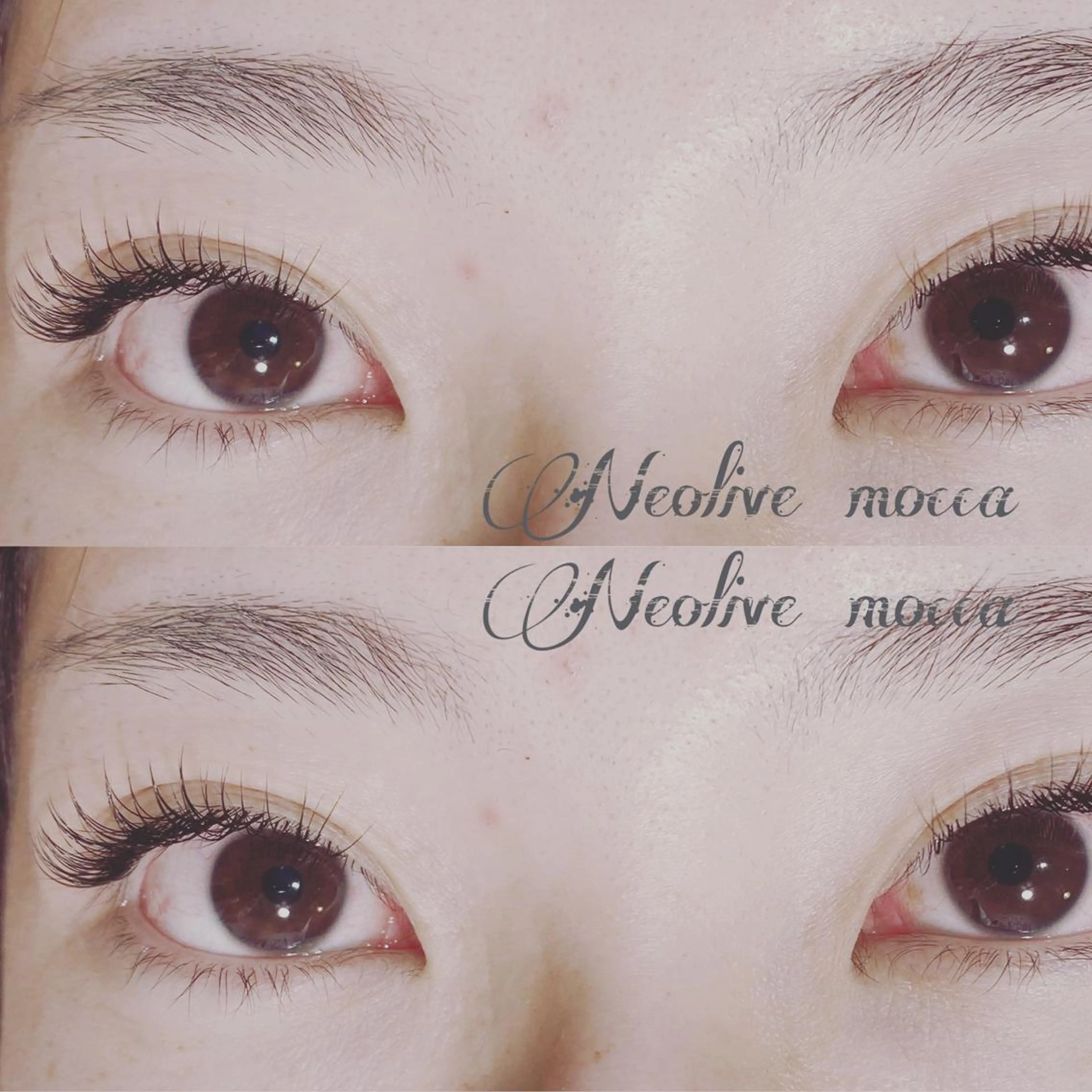 マツエク・マツパ セーブル mocca🕊🫧 ayamiのマツエク・マツパデザイン