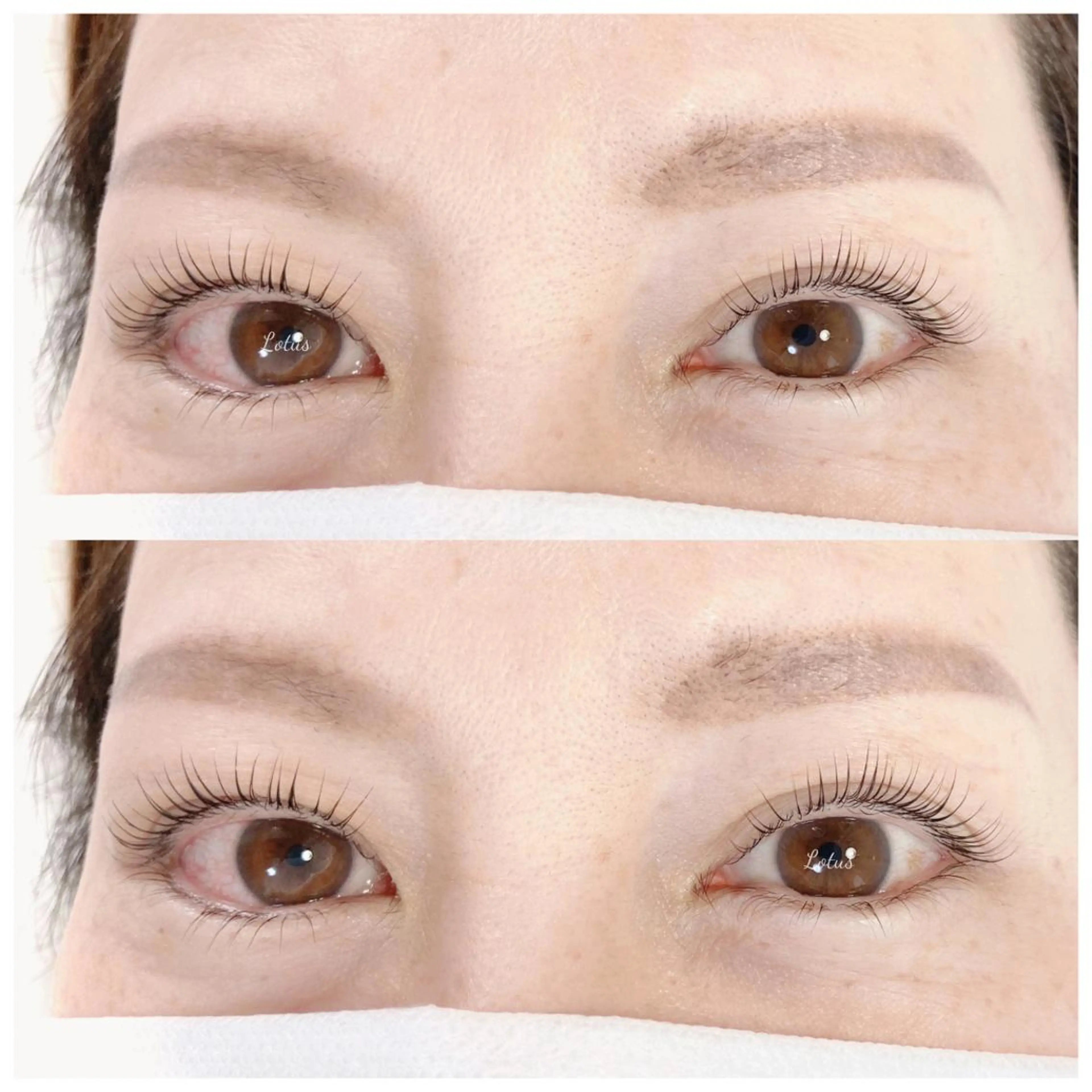 マツエク・マツパ マツパ Lotus所属・Lotus ロータスのマツエク・マツパデザイン