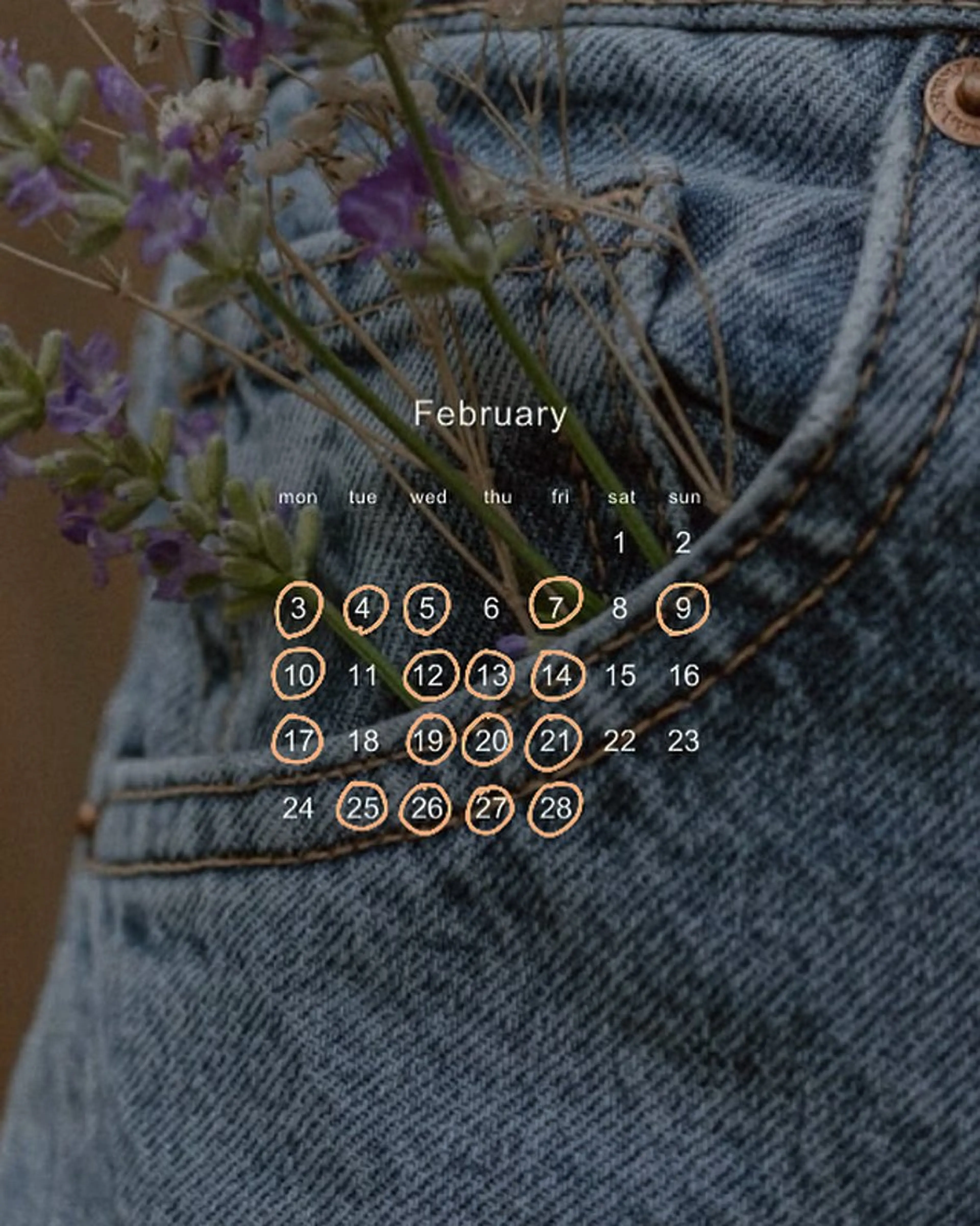マツエク・マツパ ワックス脱毛 眉カット その他(アイブロウ) SO-eye所属・𝗦𝗢 -スオ- HAZUKIのマツエク・マツパデザイン
