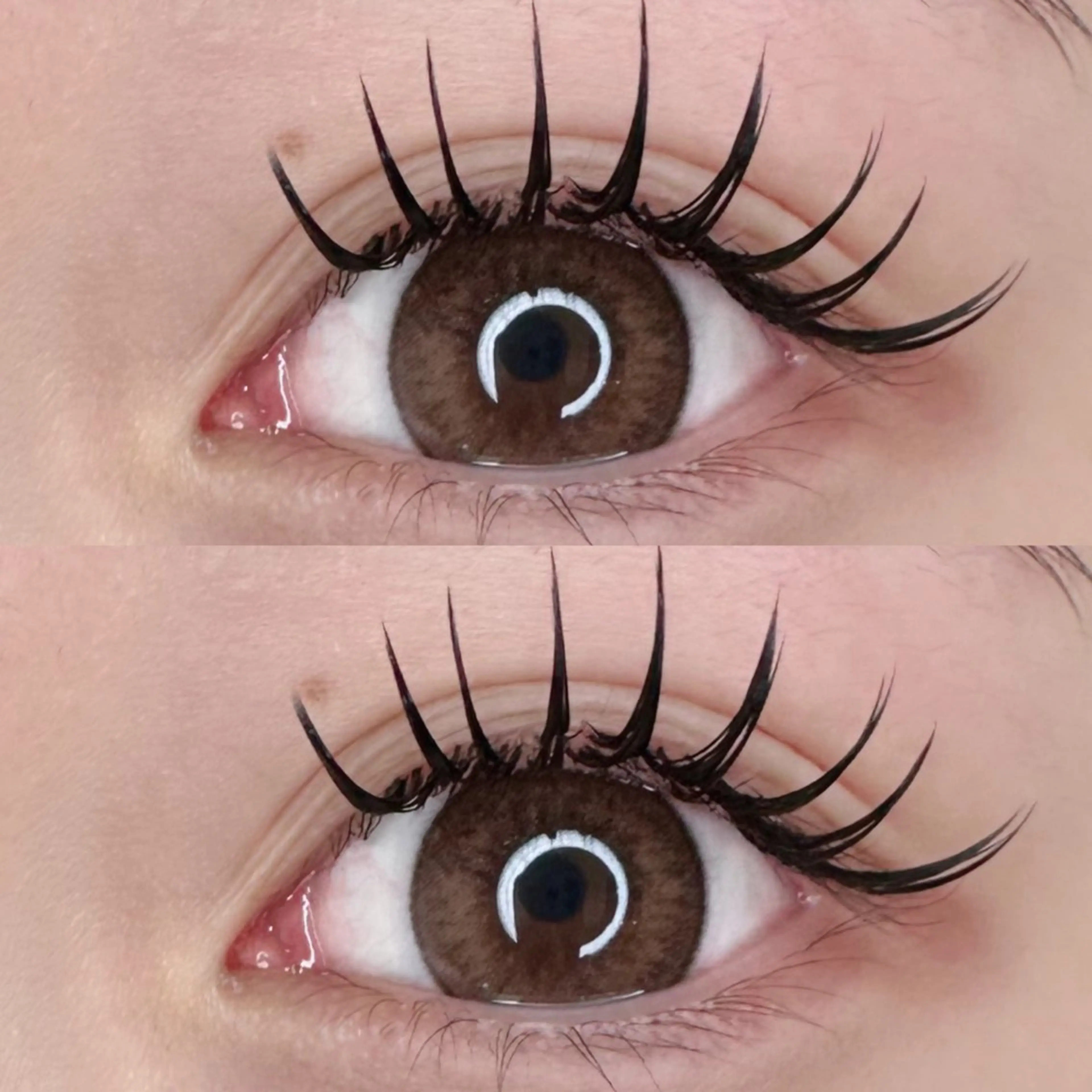 バインドロック100束の写真