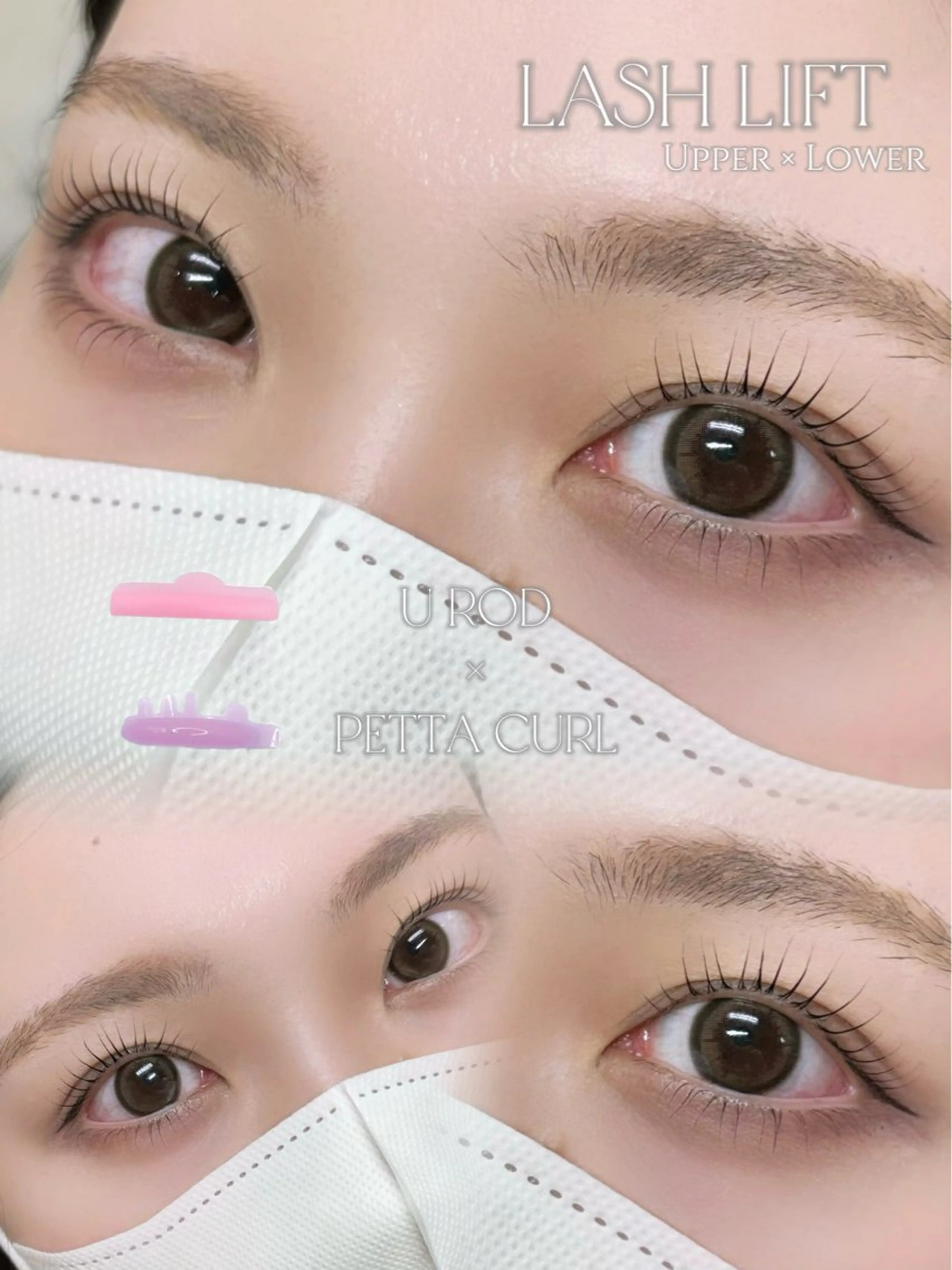 ãããšã¯ã»ããã ããã ððªðŠðð éåœé¢š/ææ/æµæ¯å¯¿ã®ãããšã¯ã»ããããã¶ã€ã³