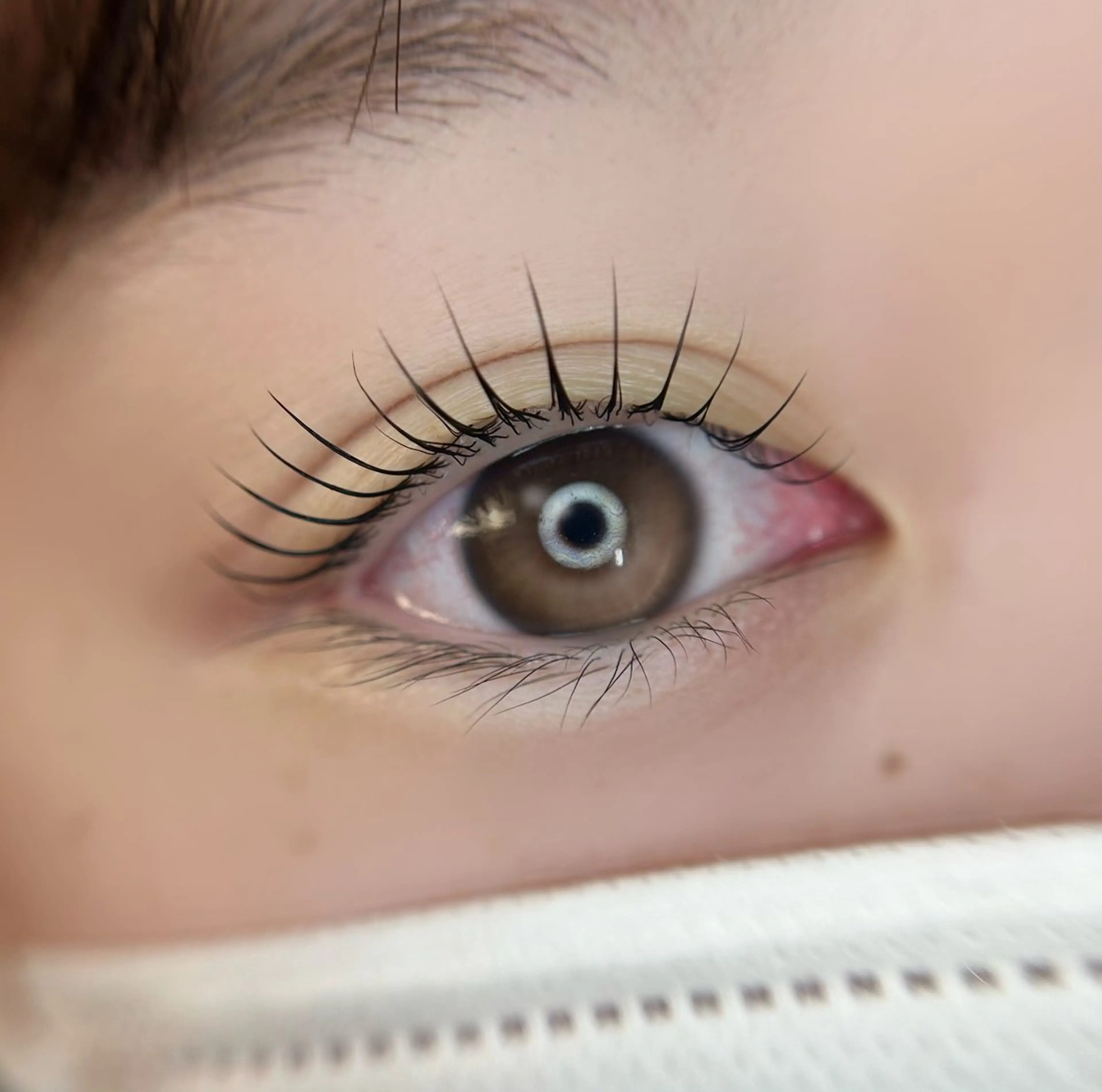 マツエク・マツパ eyelist. mizuki🐈‍⬛の眉毛・アイブロウイメージ