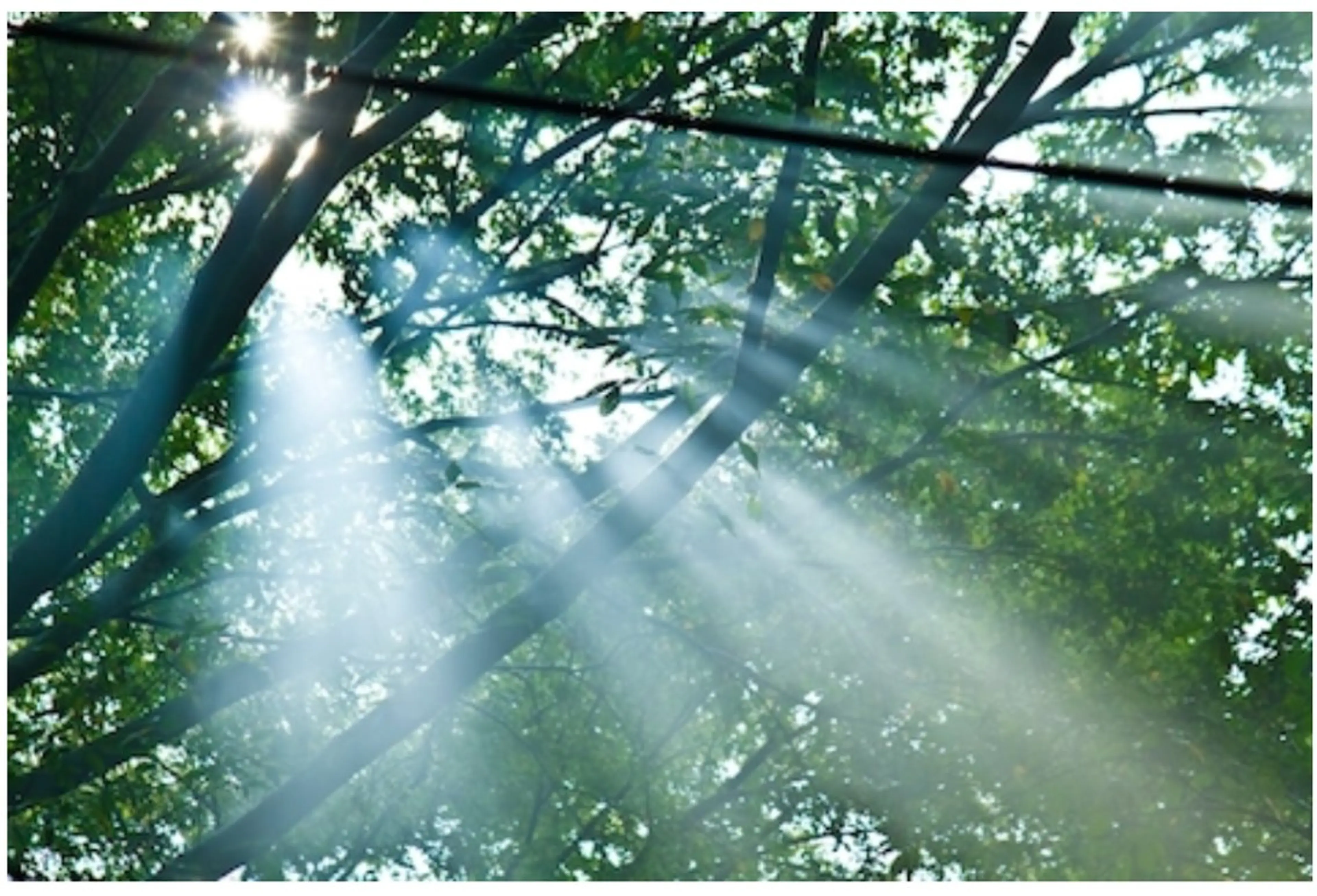 癒しの🌿#足ツボ #マッサージ🦶✨ #フット #リフレクソロジー 30分🍀の写真