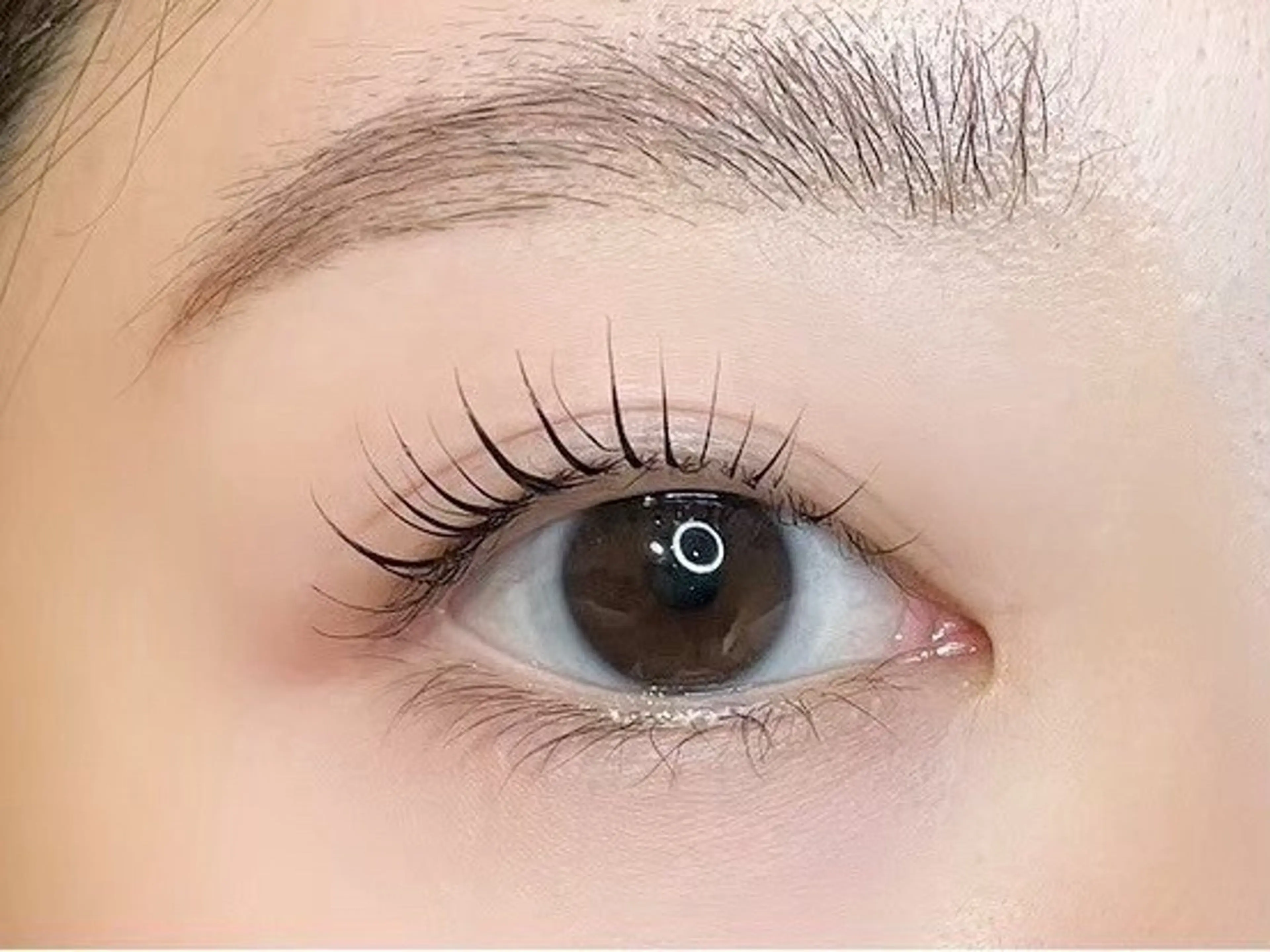 ❣️学割❣️まつ毛パーマ＋高級コーティング🩷の写真