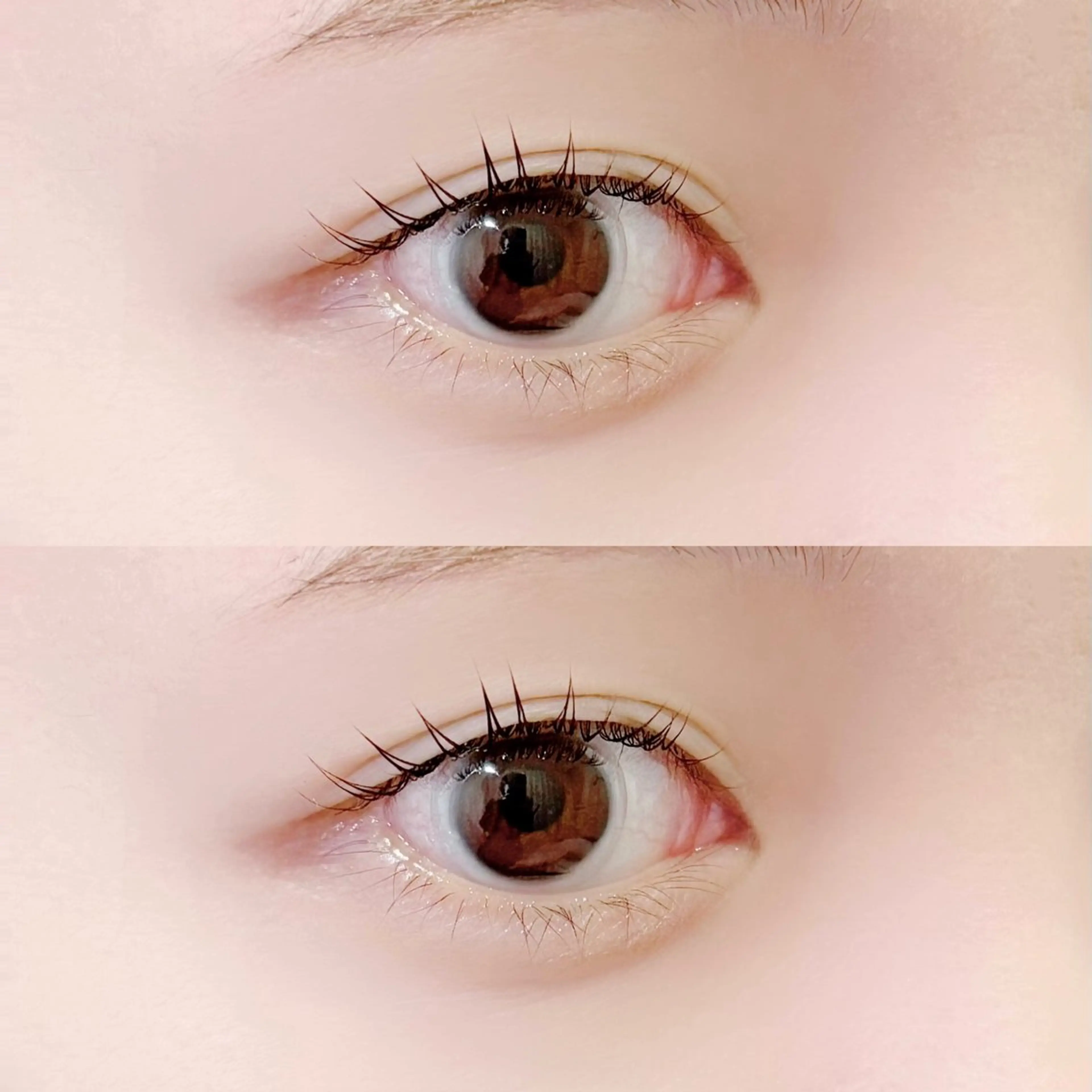 マツエク・マツパ マツパ cuinca柏店🎀 Airiのマツエク・マツパデザイン