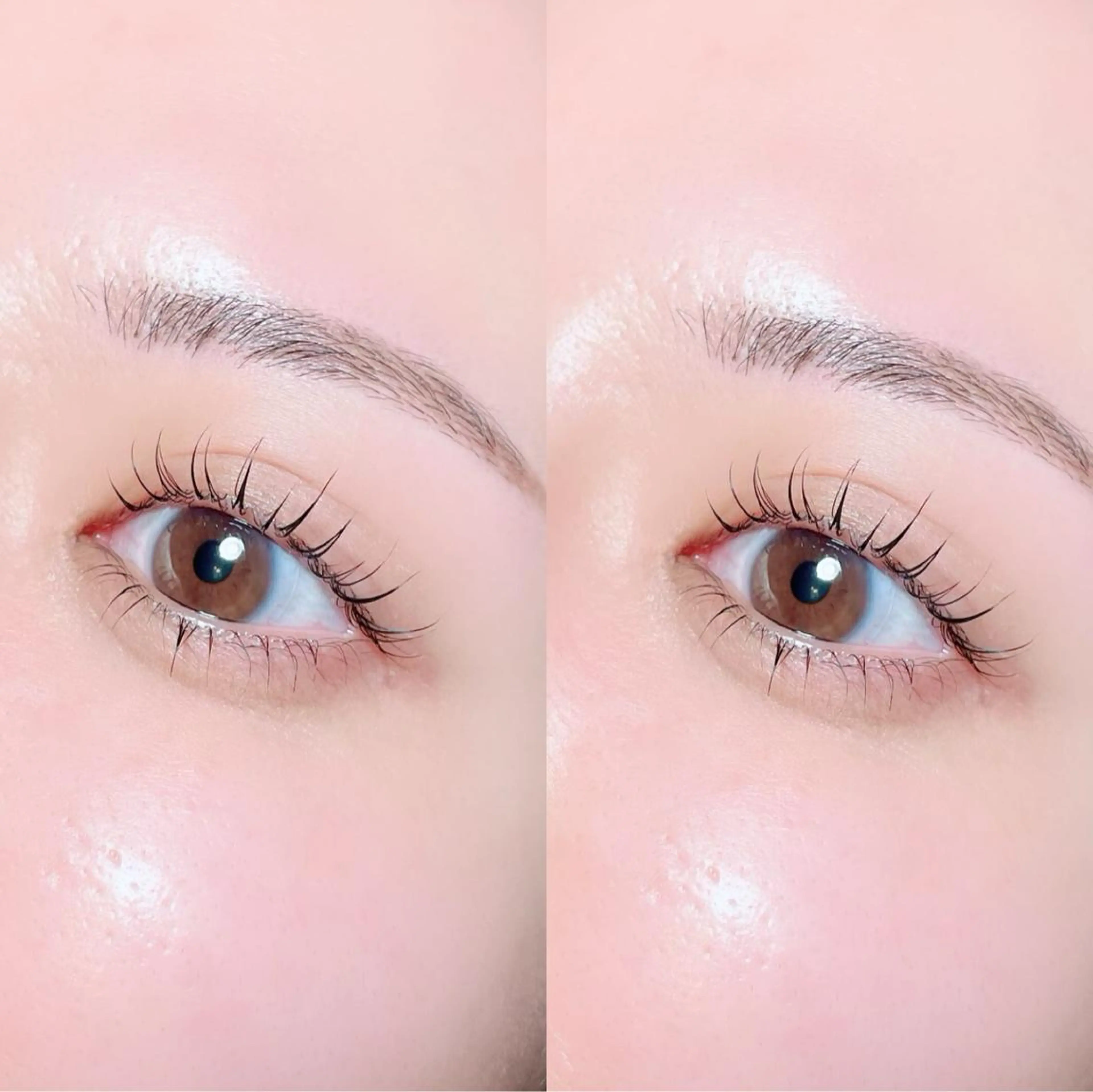 マツエク・マツパ mignon /まつげパーマ/眉毛のエステ・リラクイメージ