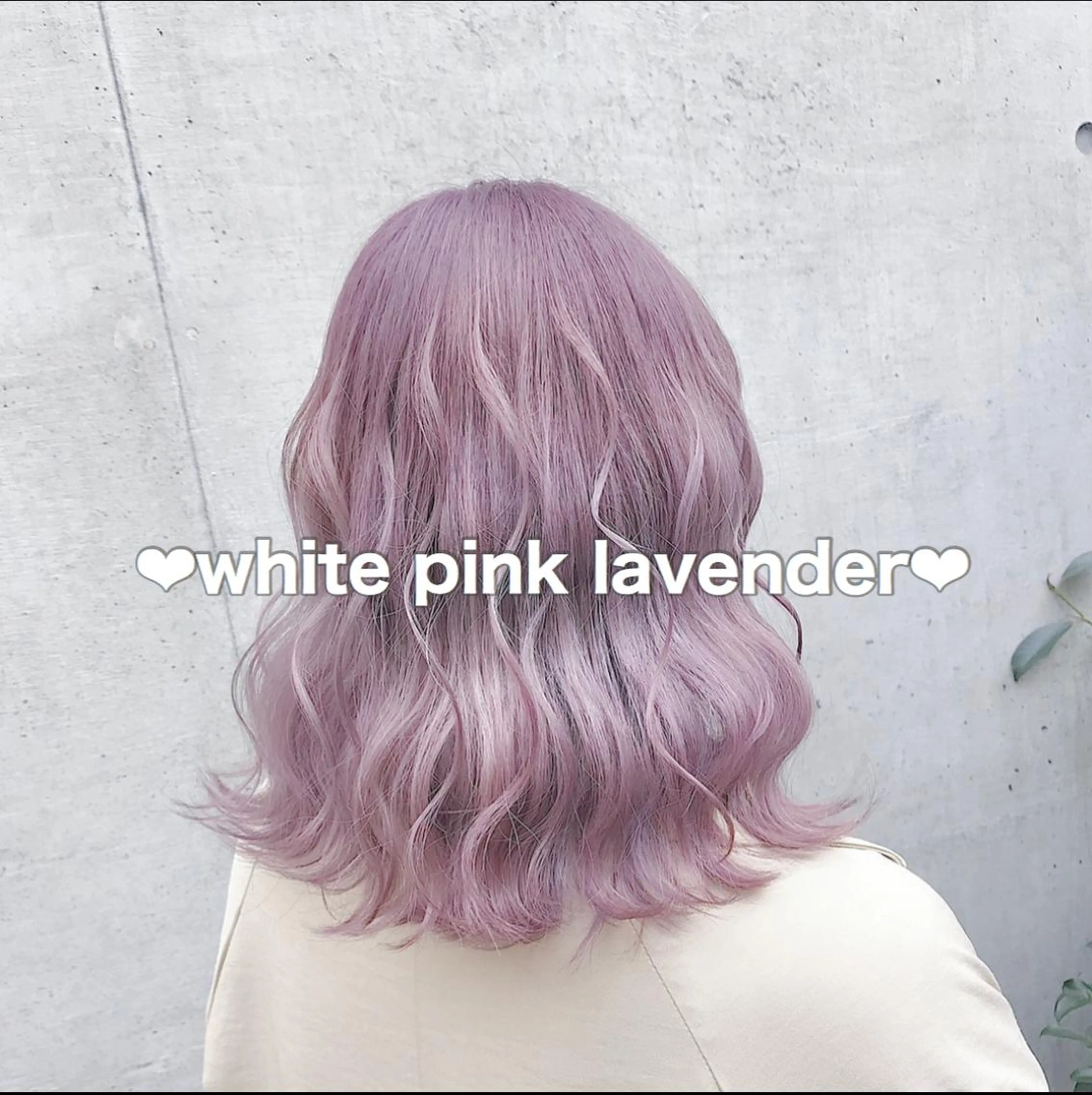 ミディアム アッシュ アッシュグレー ピンクブラウン 外国人風カラー ハイライト 💛ムラ修正ブリーチ 💛YUUのヘアスタイル