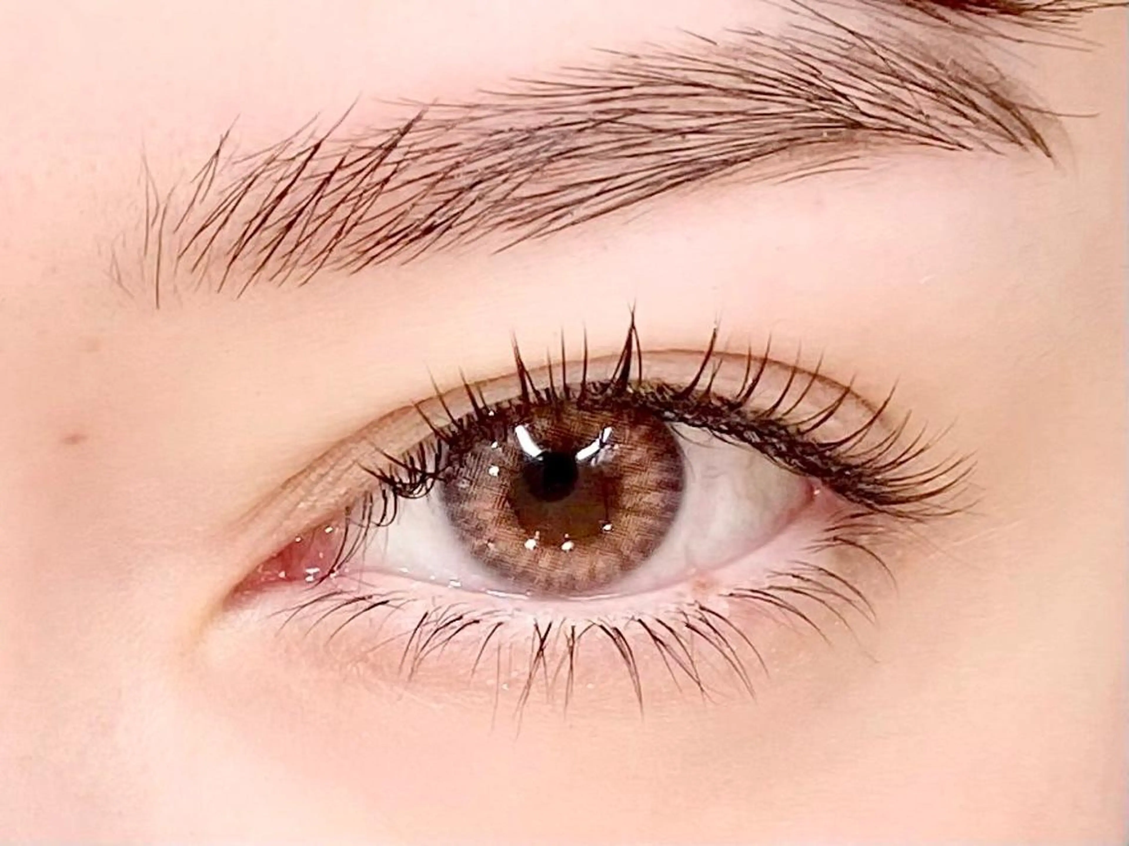 【上エクステ付け放題🩵※オフ込み】11月限定メニュー‼️の写真