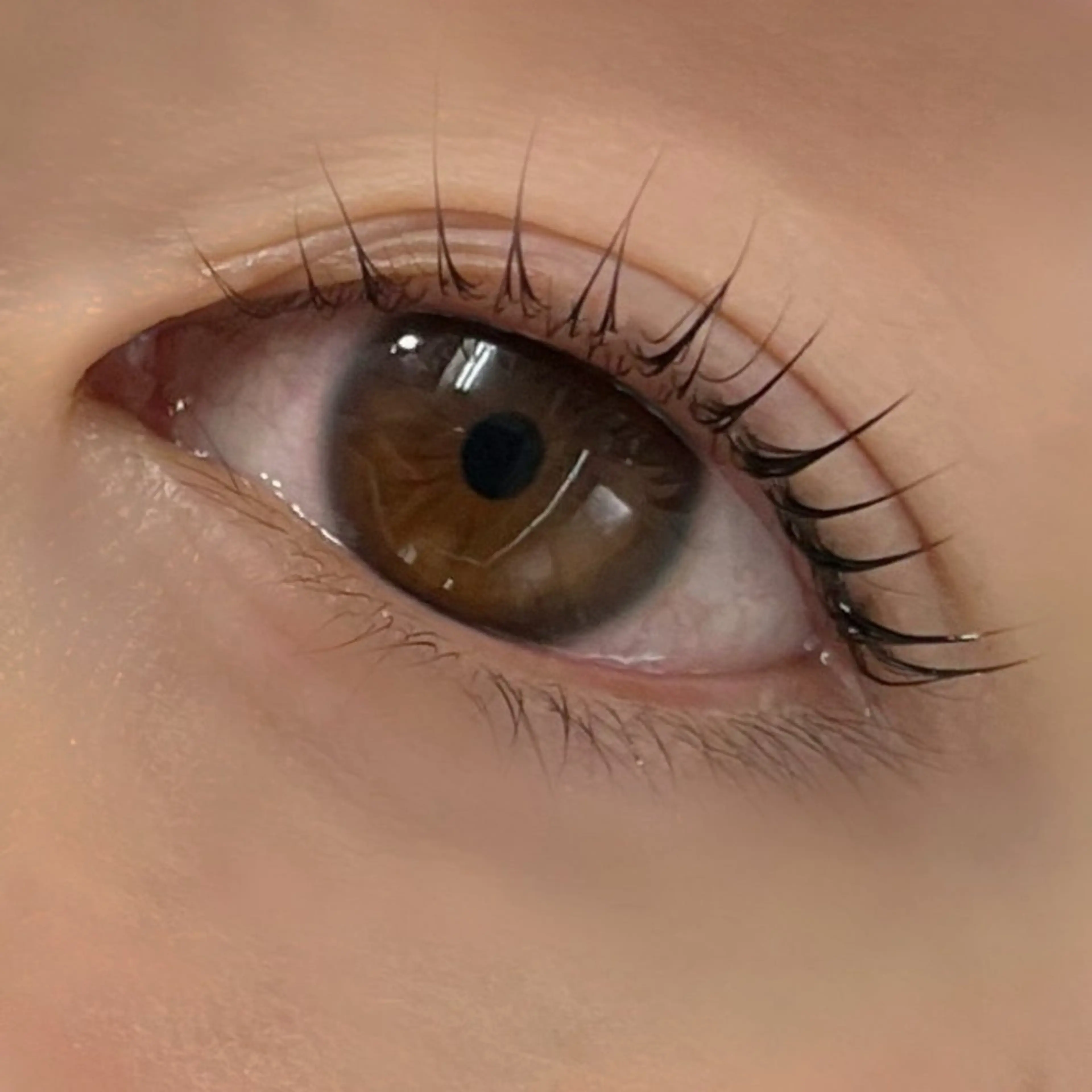 マツエク・マツパ パリジェンヌラッシュリフト Trinity eyelashのマツエク・マツパデザイン