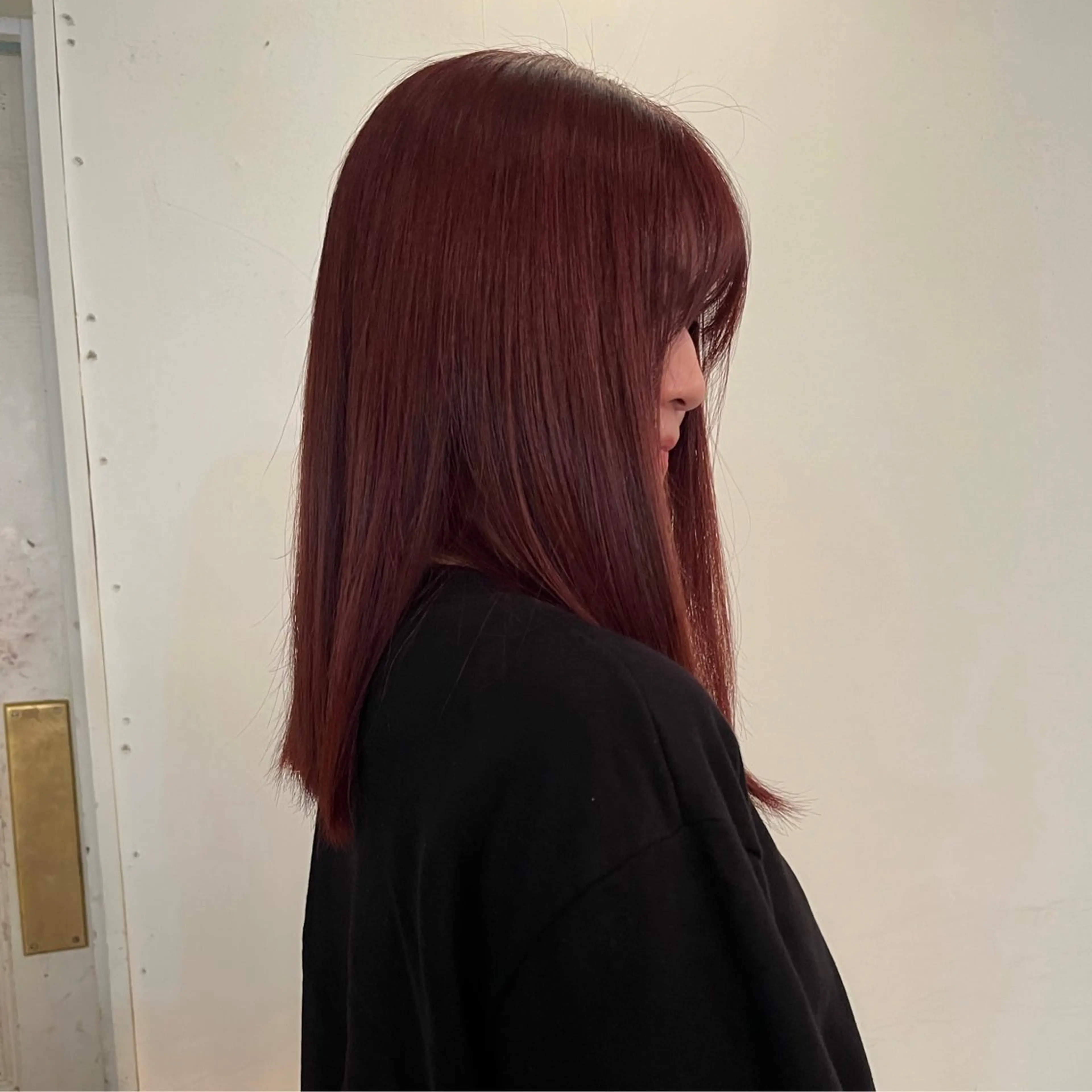 セミロング カラー ブラウンカラー ダブルカラー レッドカラー レッドブラウン ヘアカラー レイヤー/ベージュ mikuのヘアスタイル