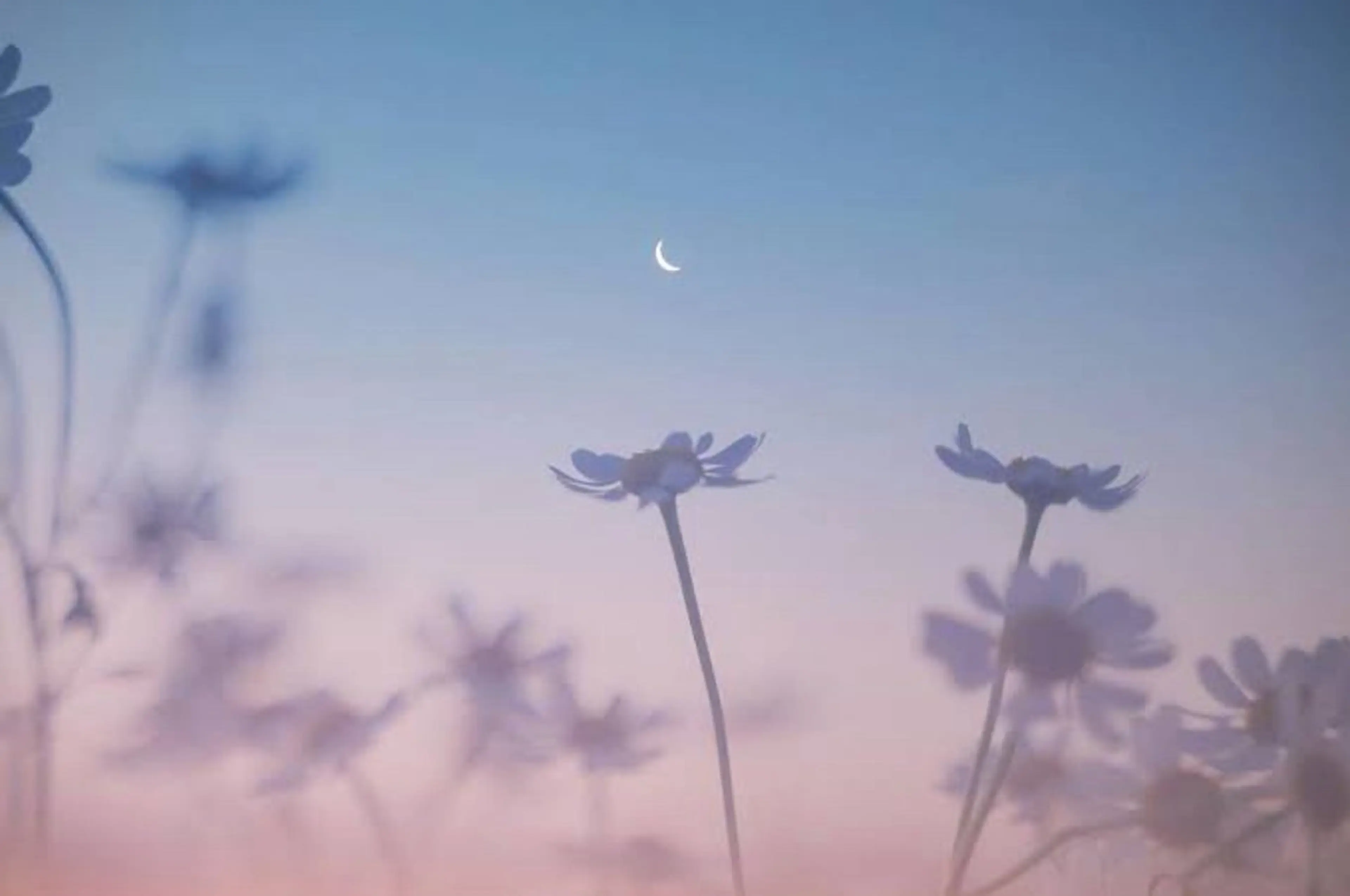 🌼二本柳 🌼のヘアスタイル
