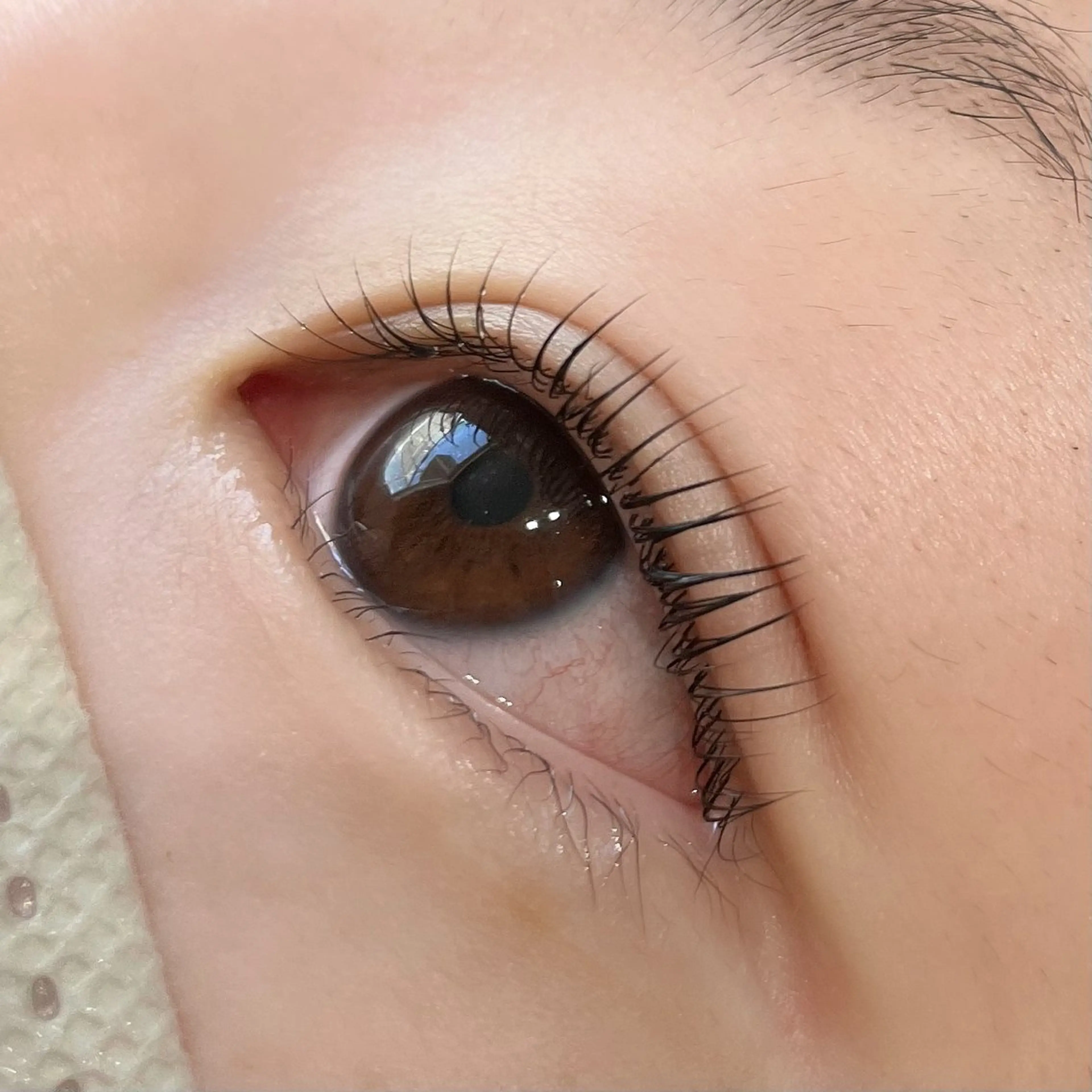 マツエク・マツパ マツパ Koti sakai mayuのマツエク・マツパデザイン