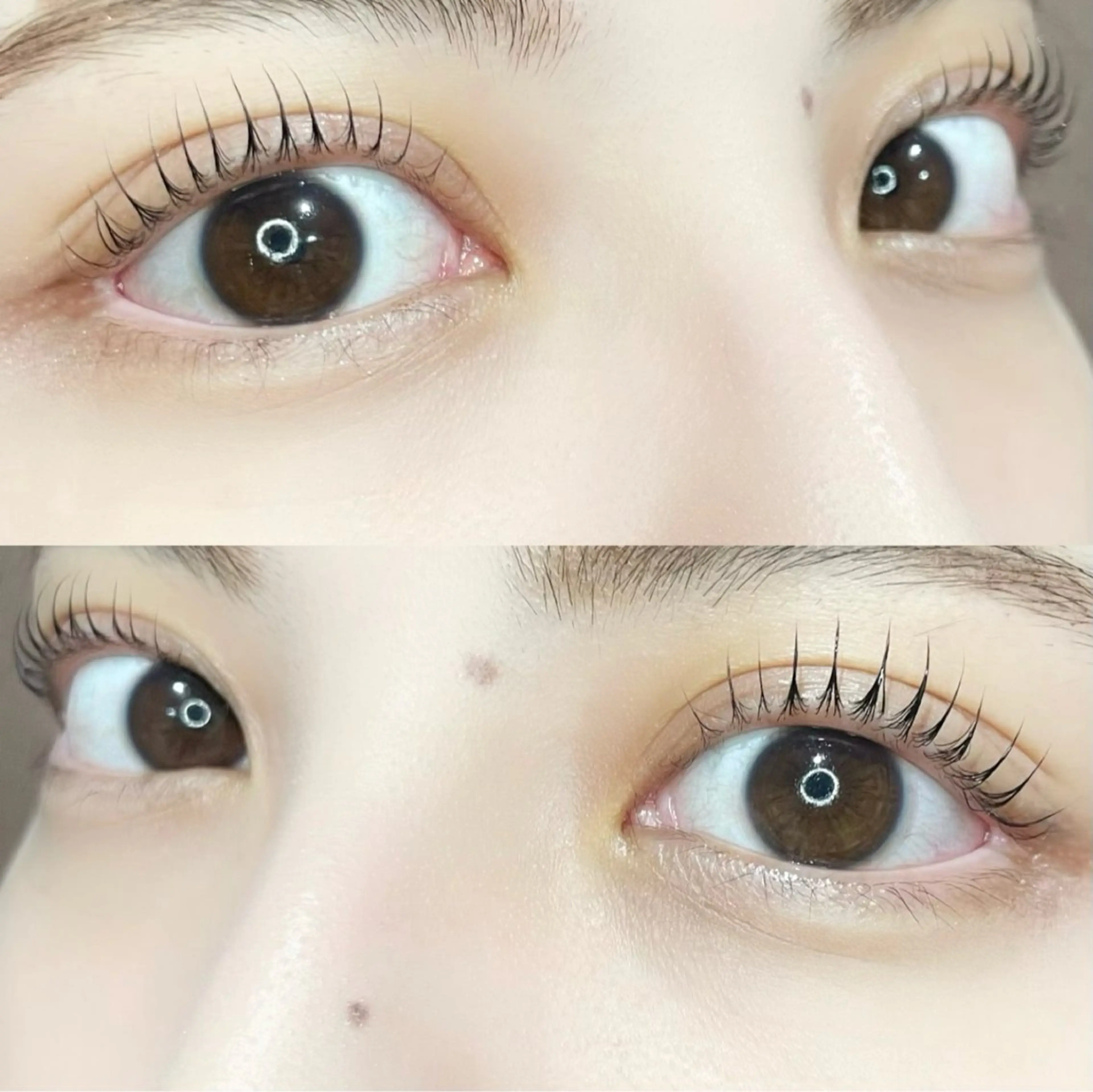 マツエク・マツパ 束感まつ毛 🦖fein. YUINA🦕⋆͛のマツエク・マツパデザイン