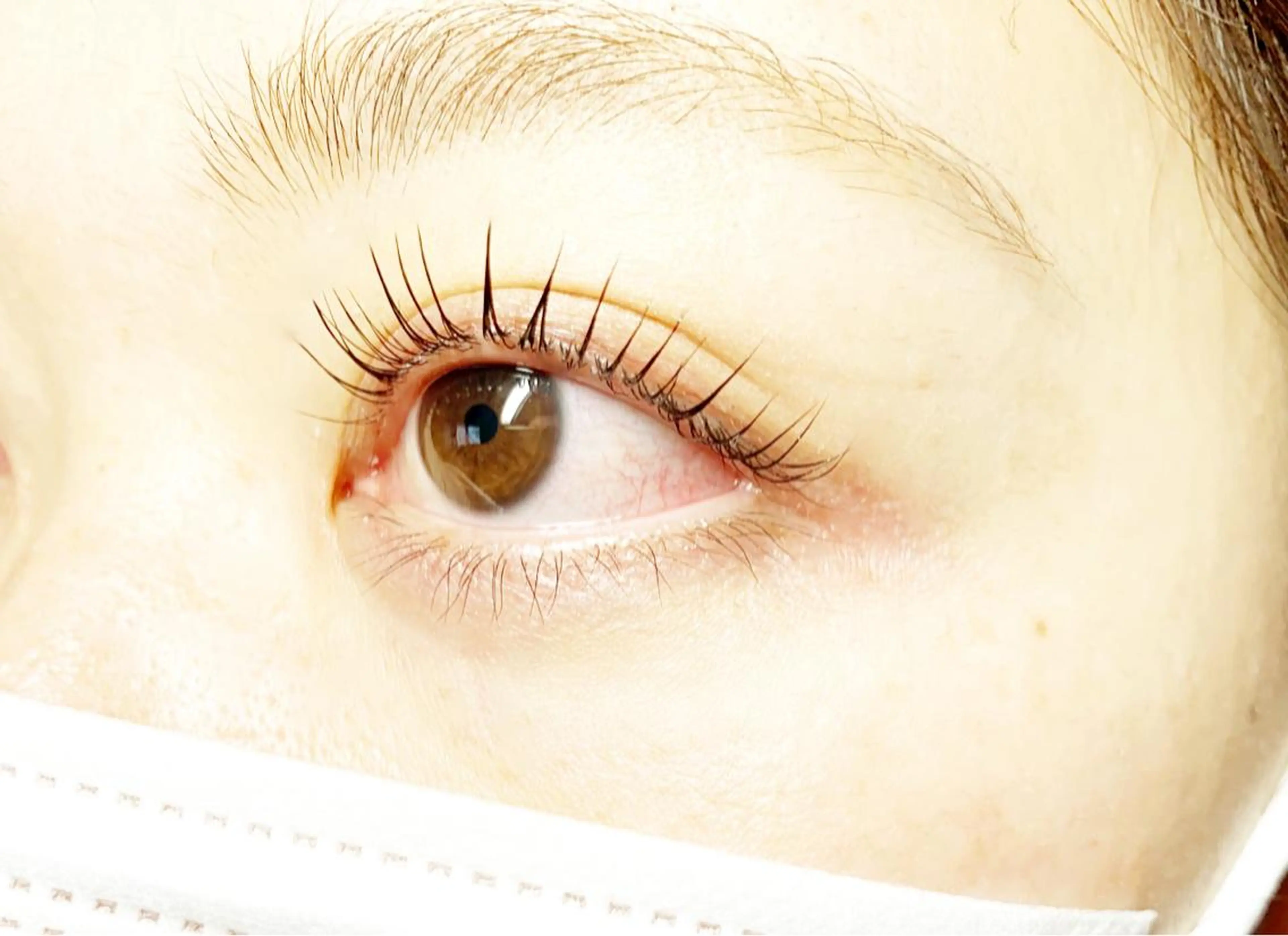 マツエク・マツパ マツパ Eyelash.a         bellezza所属・Eyelash.a bellezzaのマツエク・マツパデザイン