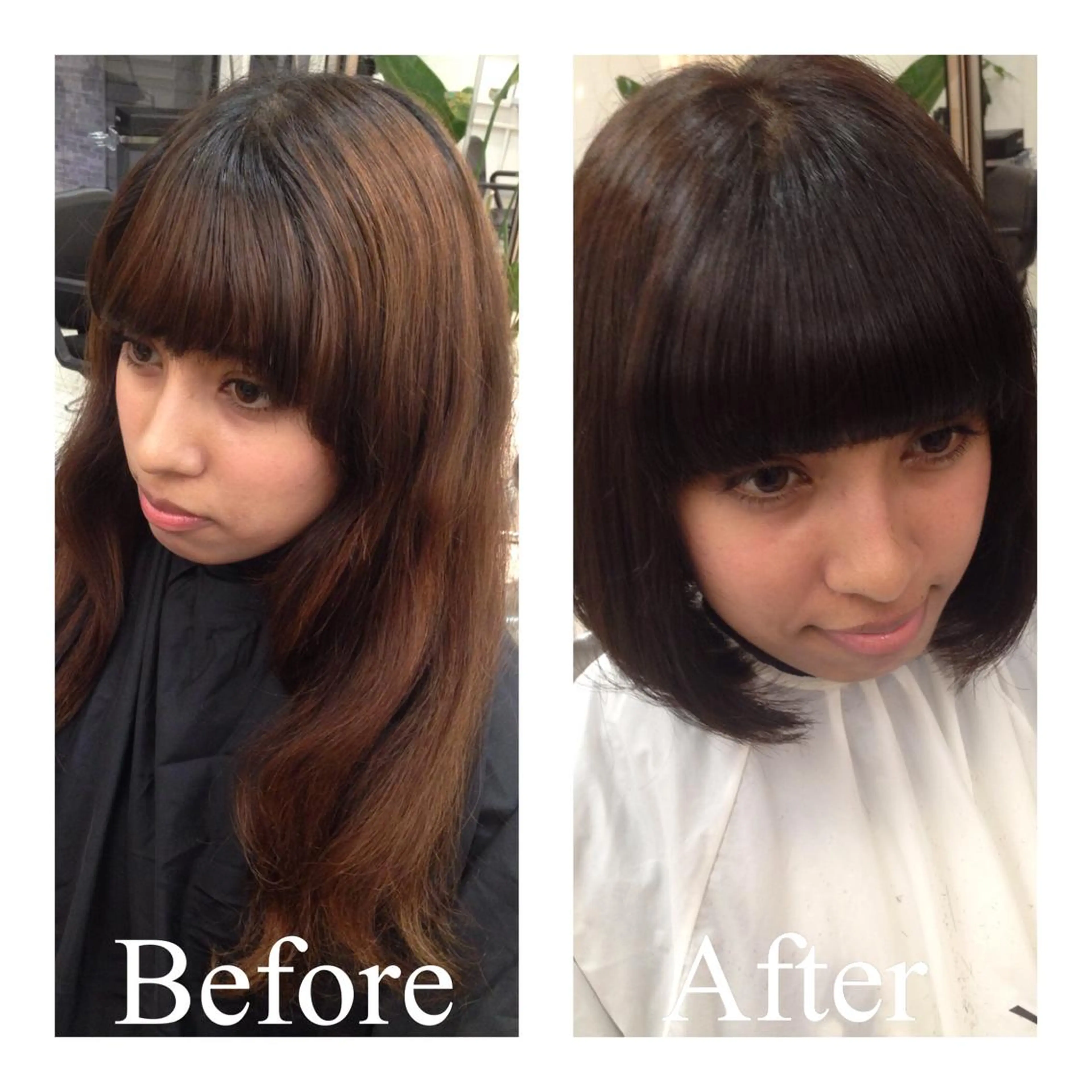 ショート ミディアム カラー アオガミ （前髪顔周りカット）のヘアスタイル