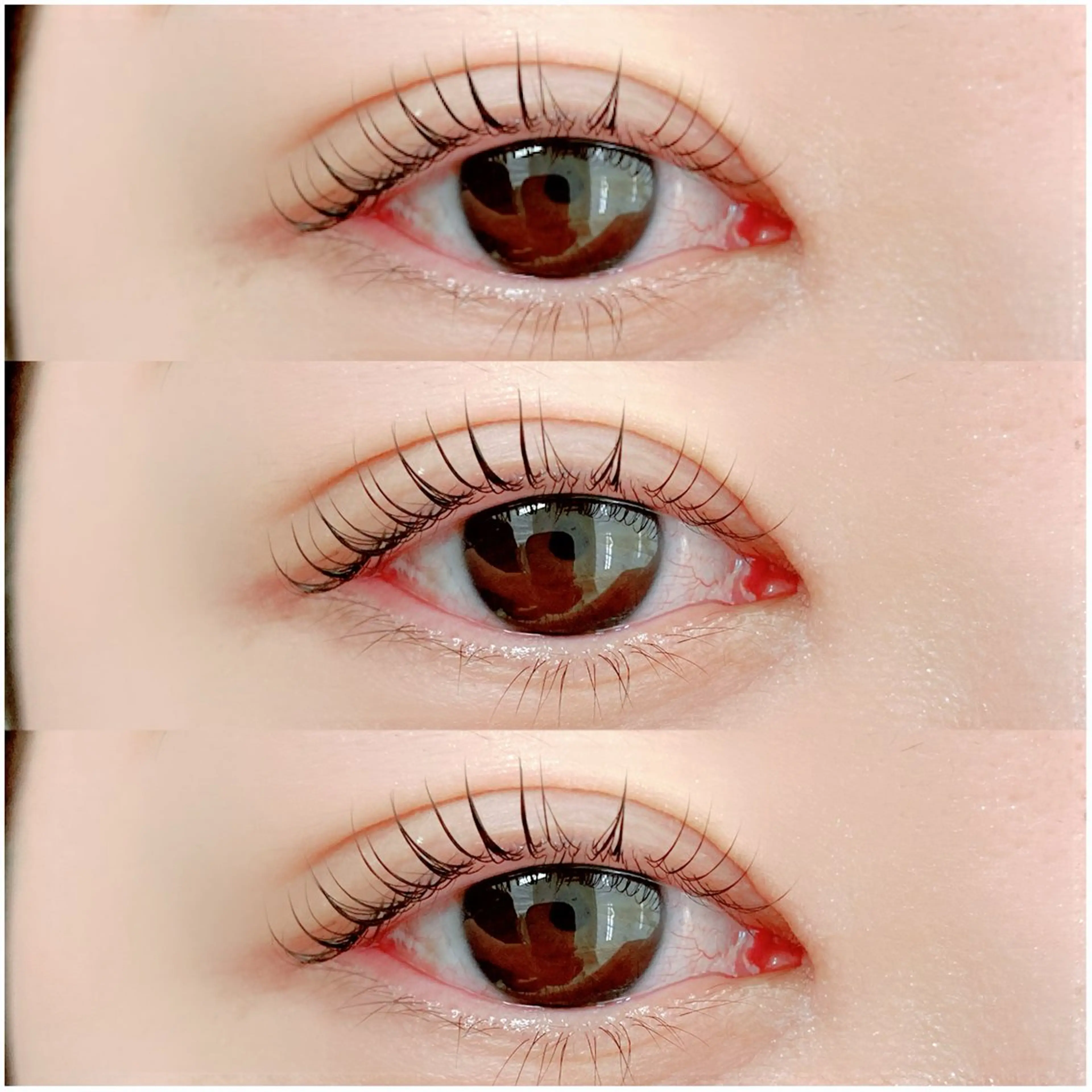 ご新規様限定🌟ラッシュリフト トリートメント付きの写真