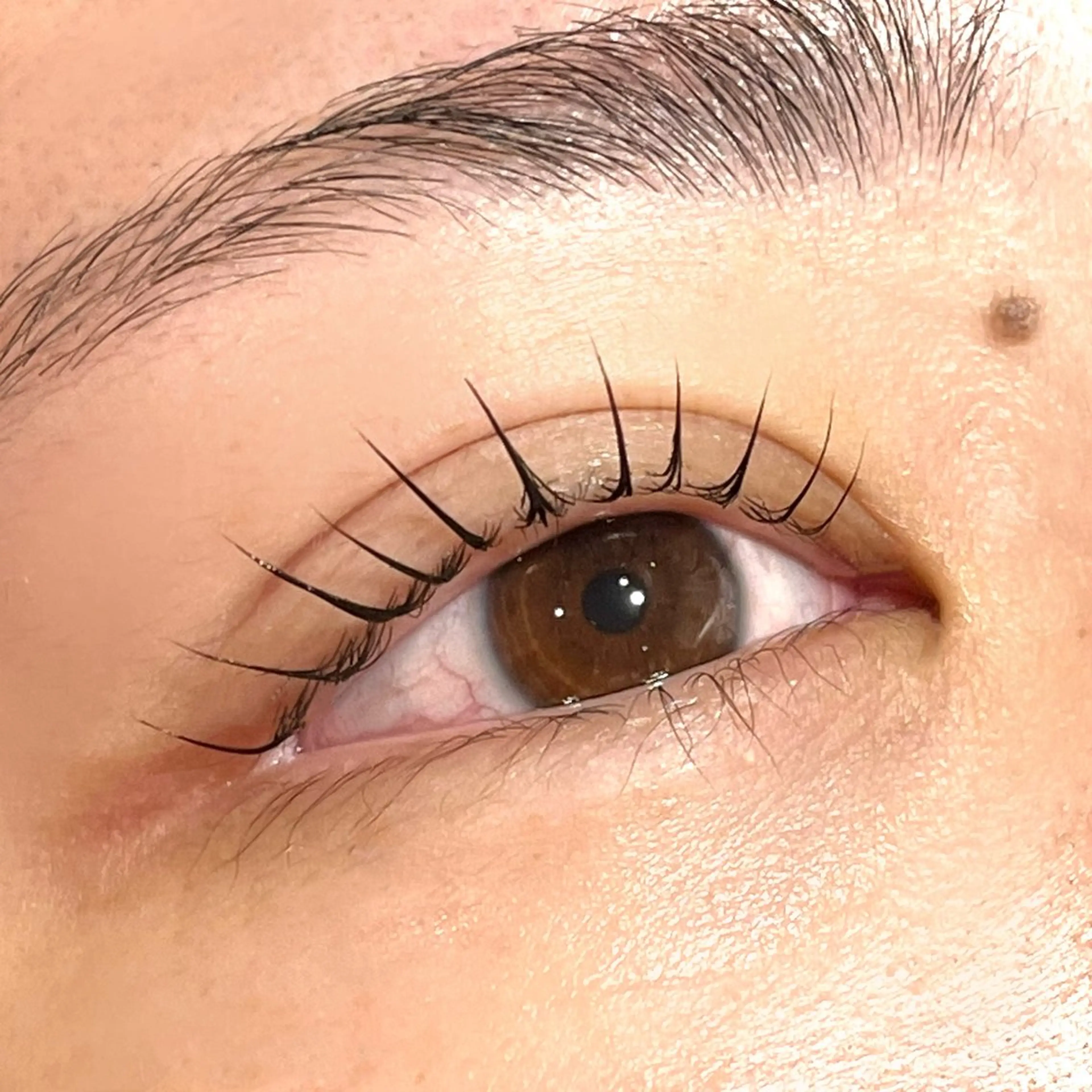 マツエク・マツパ Lカール パリジェンヌラッシュリフト 縁と縁enn-to-yukari所属・金倉 彩乃のマツエク・マツパデザイン