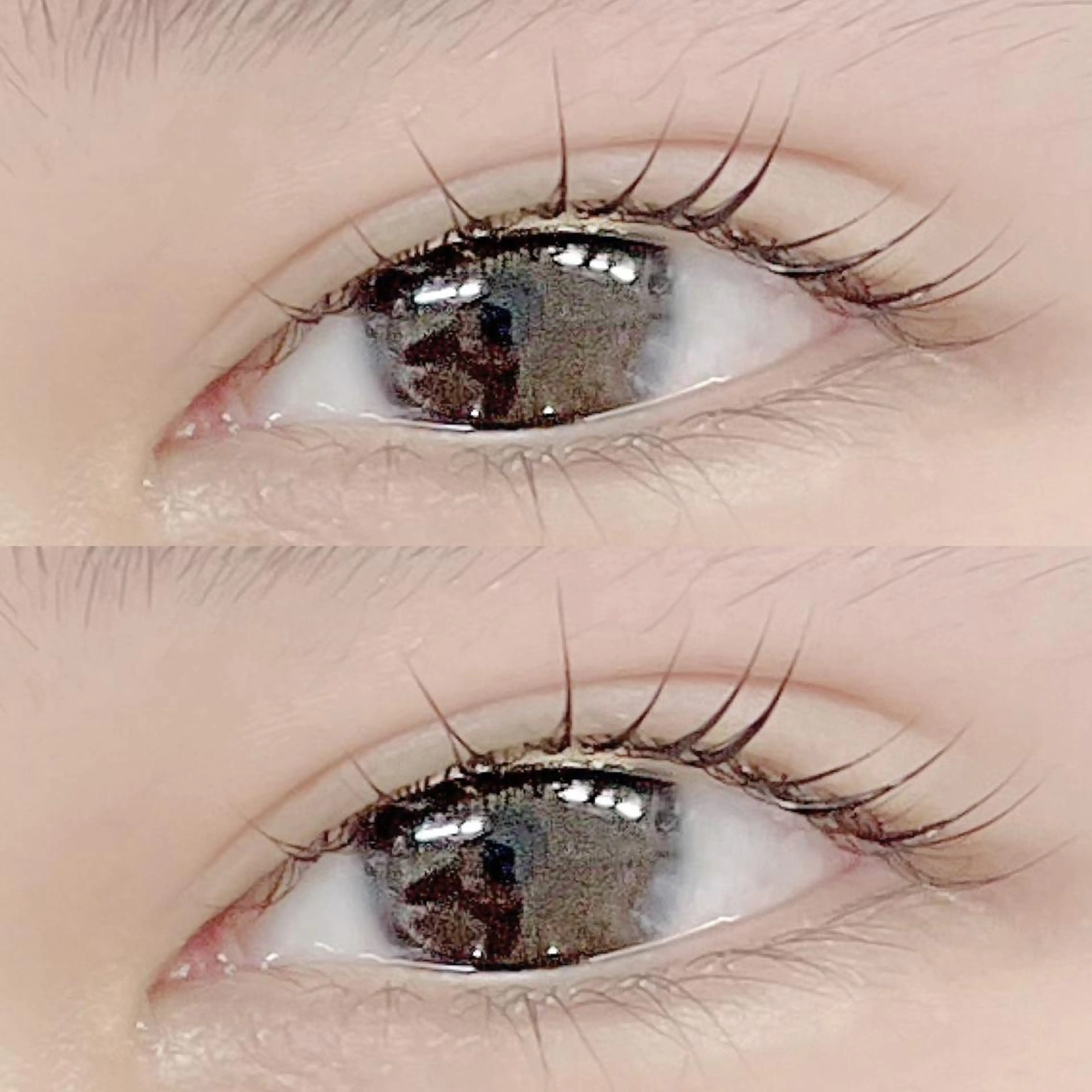 マツエク・マツパ フジ ワラのマツエク・マツパデザイン