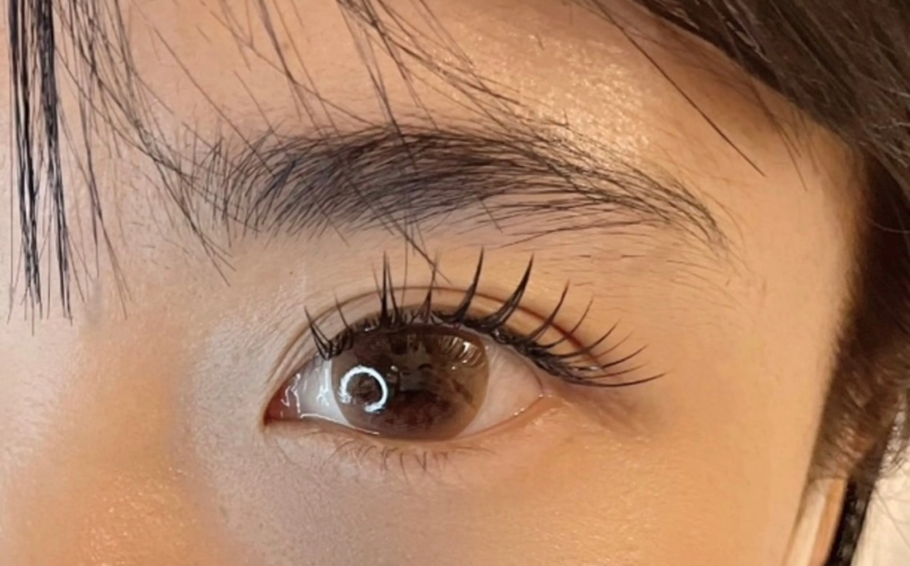 🦎フラットエクステ100本(オフ込)の写真