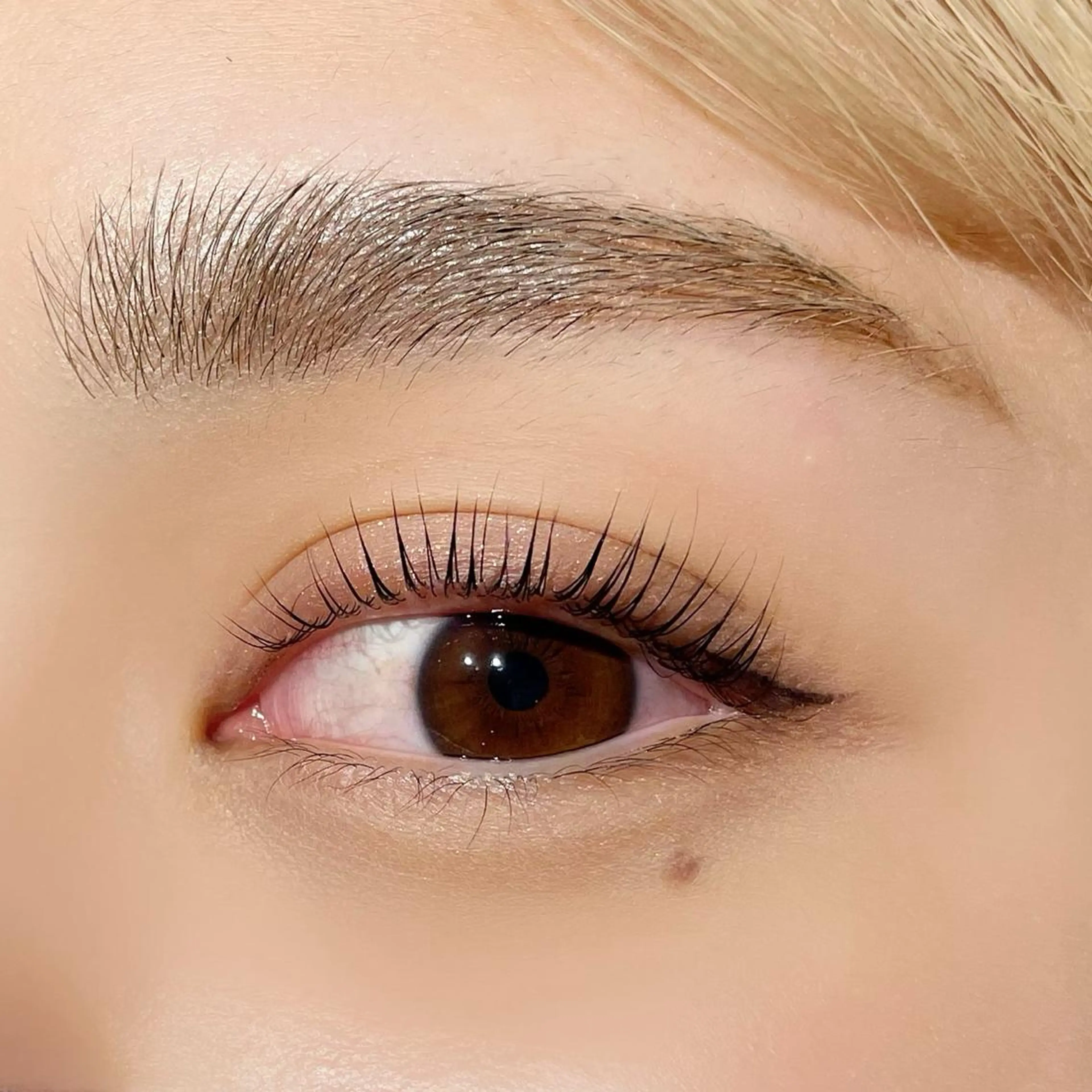 マツエク・マツパ マツパ LILY 猪瀬 ෆ‪ 上下エク/パリ/束感のマツエク・マツパデザイン