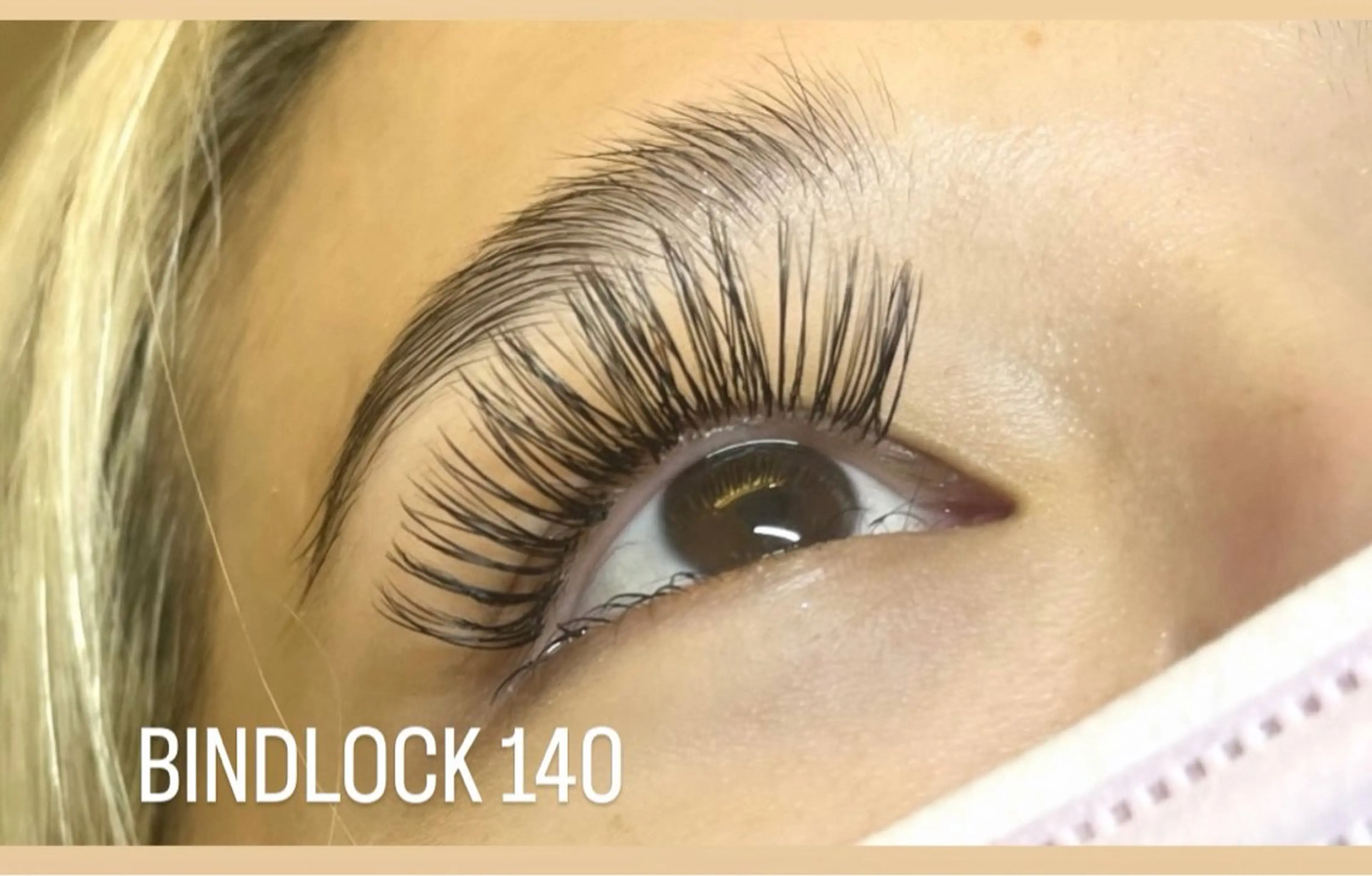 ⭐️12/15限定⭐️バインドロック100束上のみ⚠️の写真