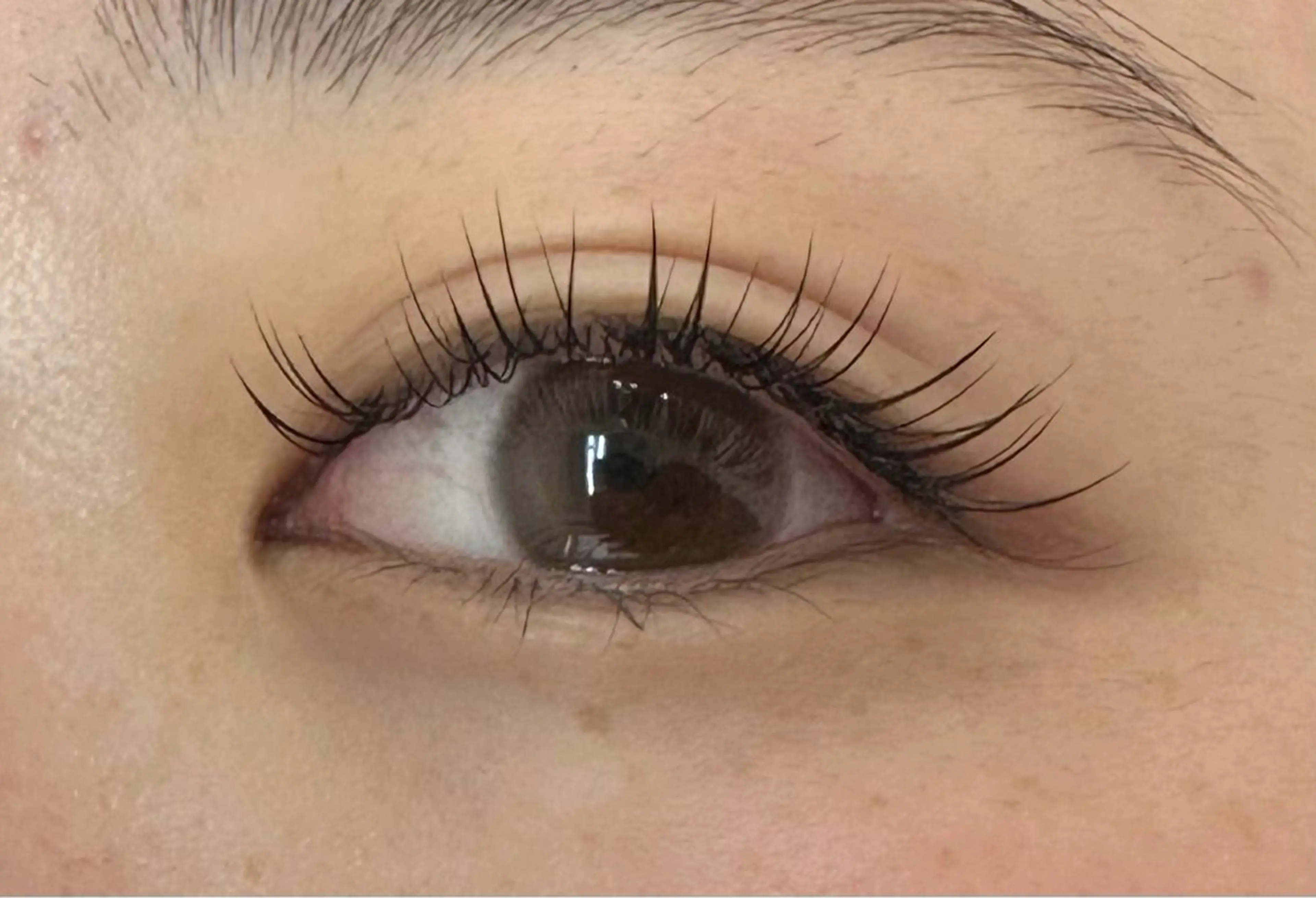 マツエク・マツパ フラットラッシュ Eyelash Nailsalon Neo beauty【ネオビューティー】上本町店所属・Neo beautyのマツエク・マツパデザイン