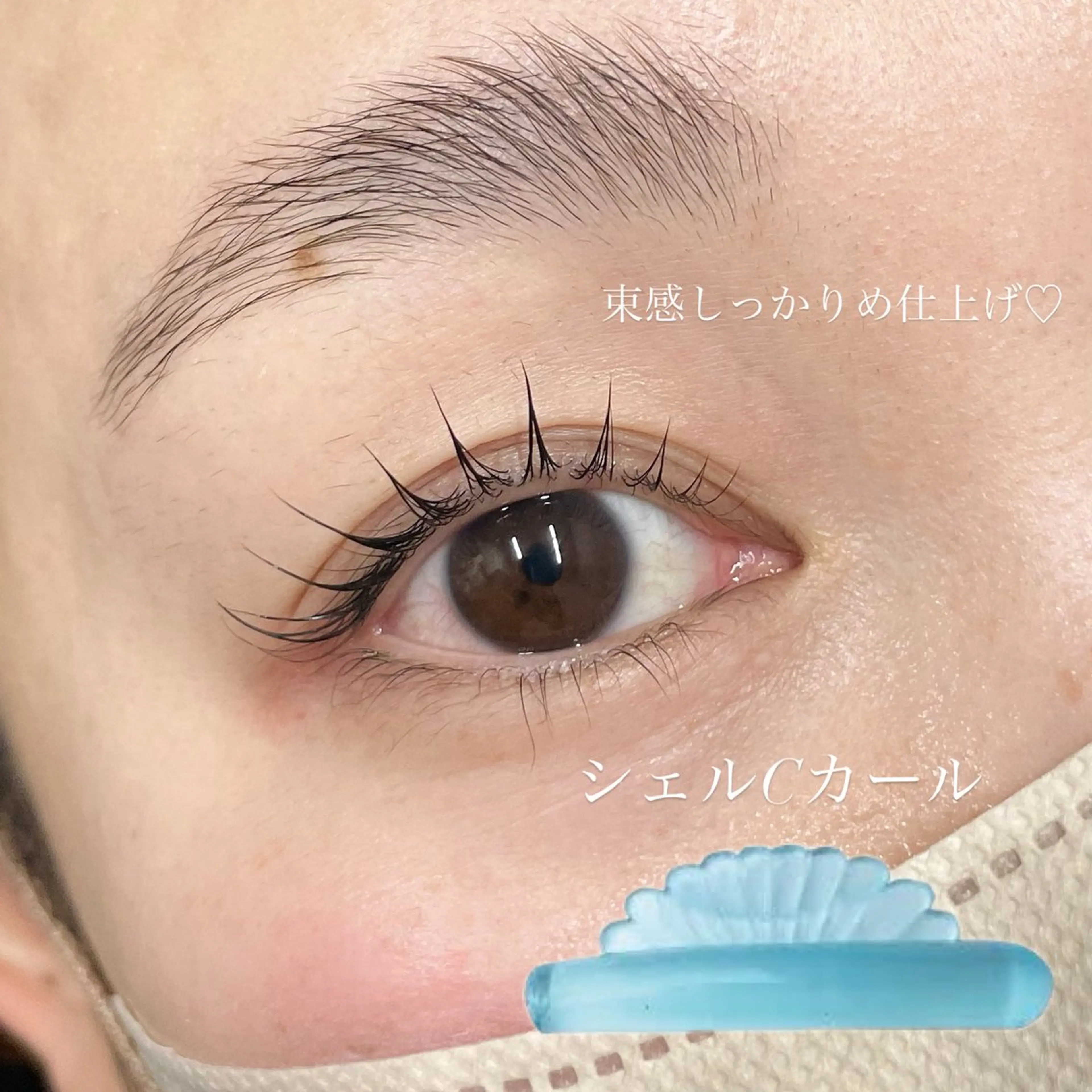 🎀ラッシュリフト美容液成分入りコーティング付き🫧の写真