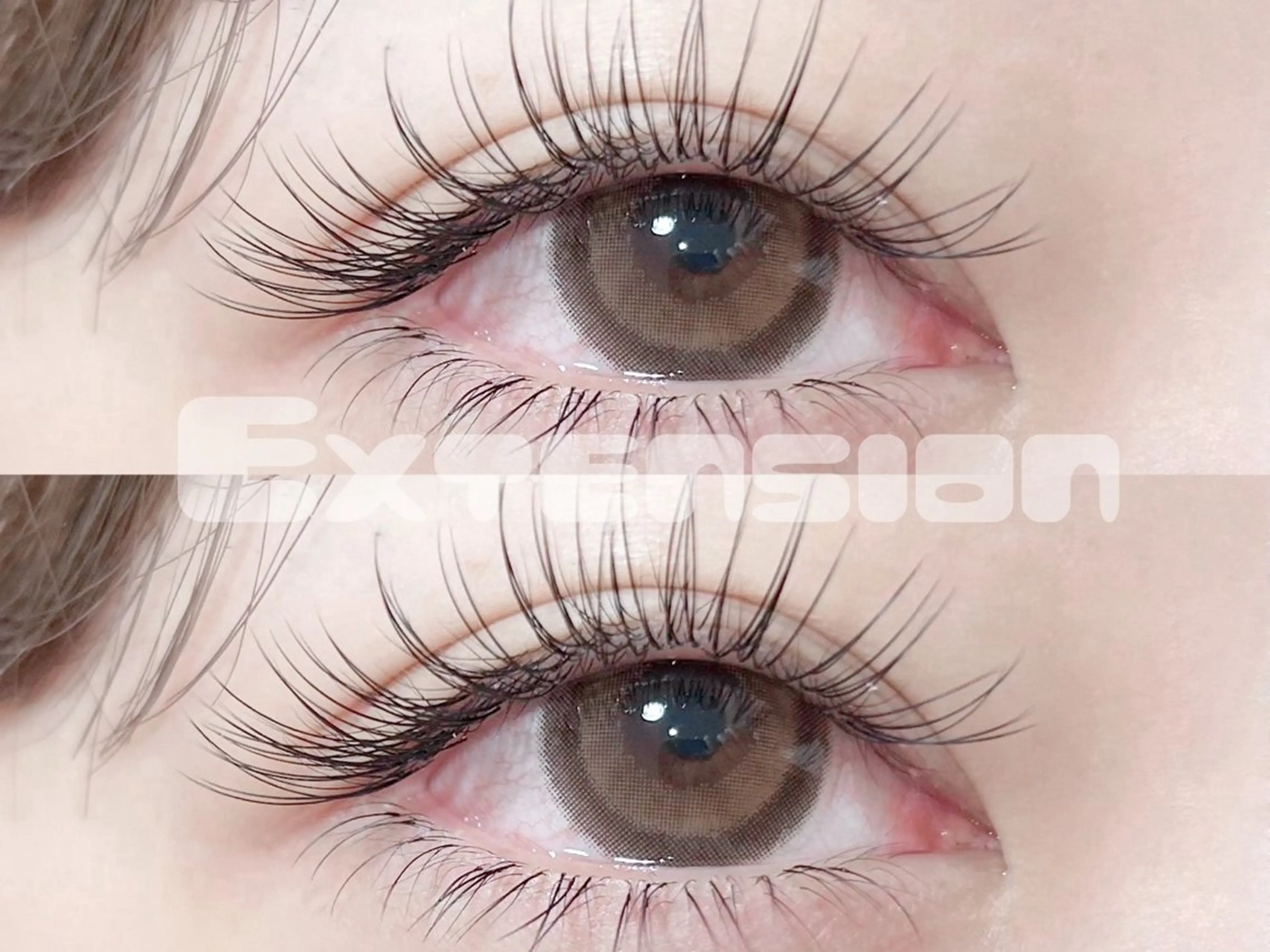 【ミニモ学割】🪼中顔面短縮🪼Flat Lash120本+下30本(コーティング付き）の写真