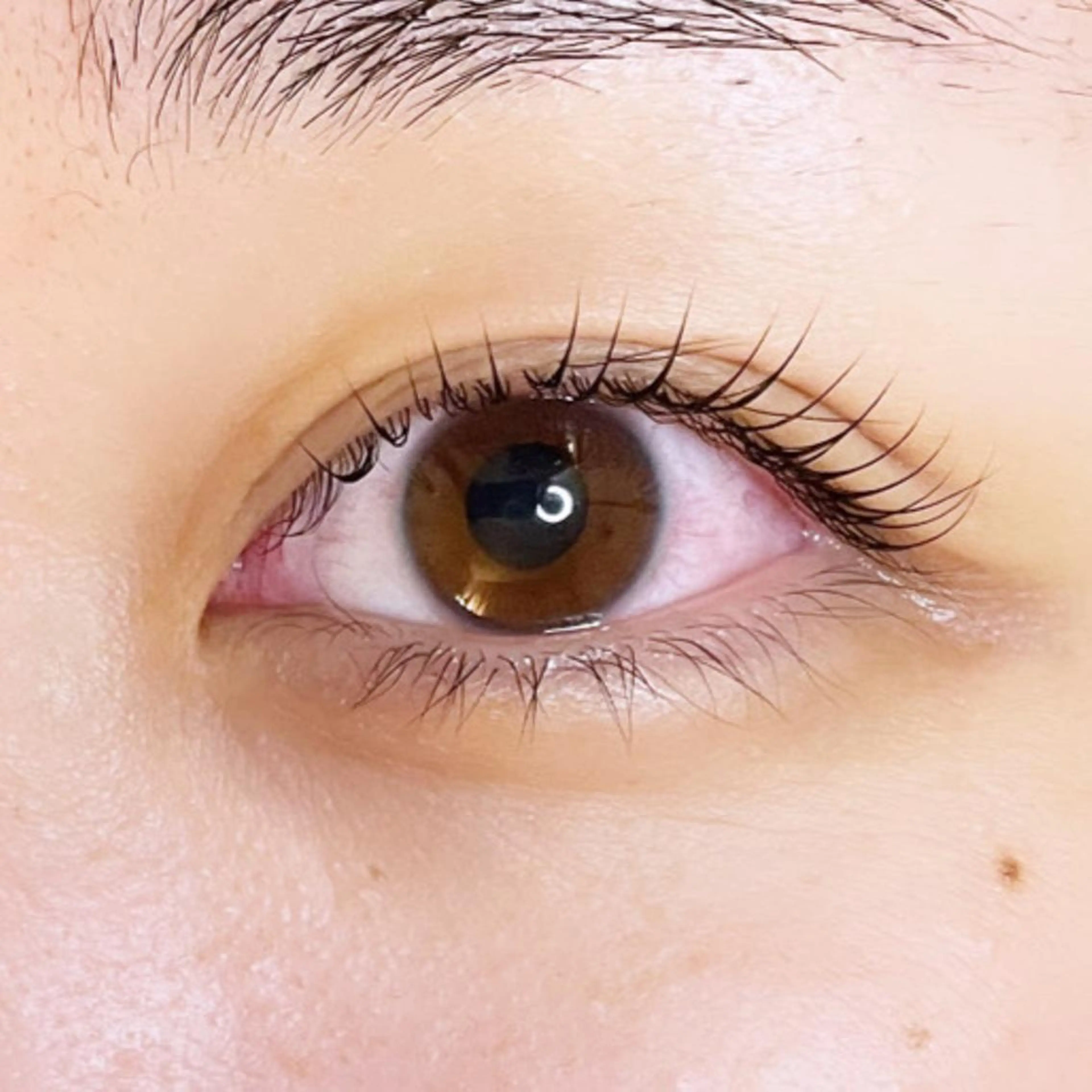 マツエク・マツパ 9nine 河合のマツエク・マツパデザイン