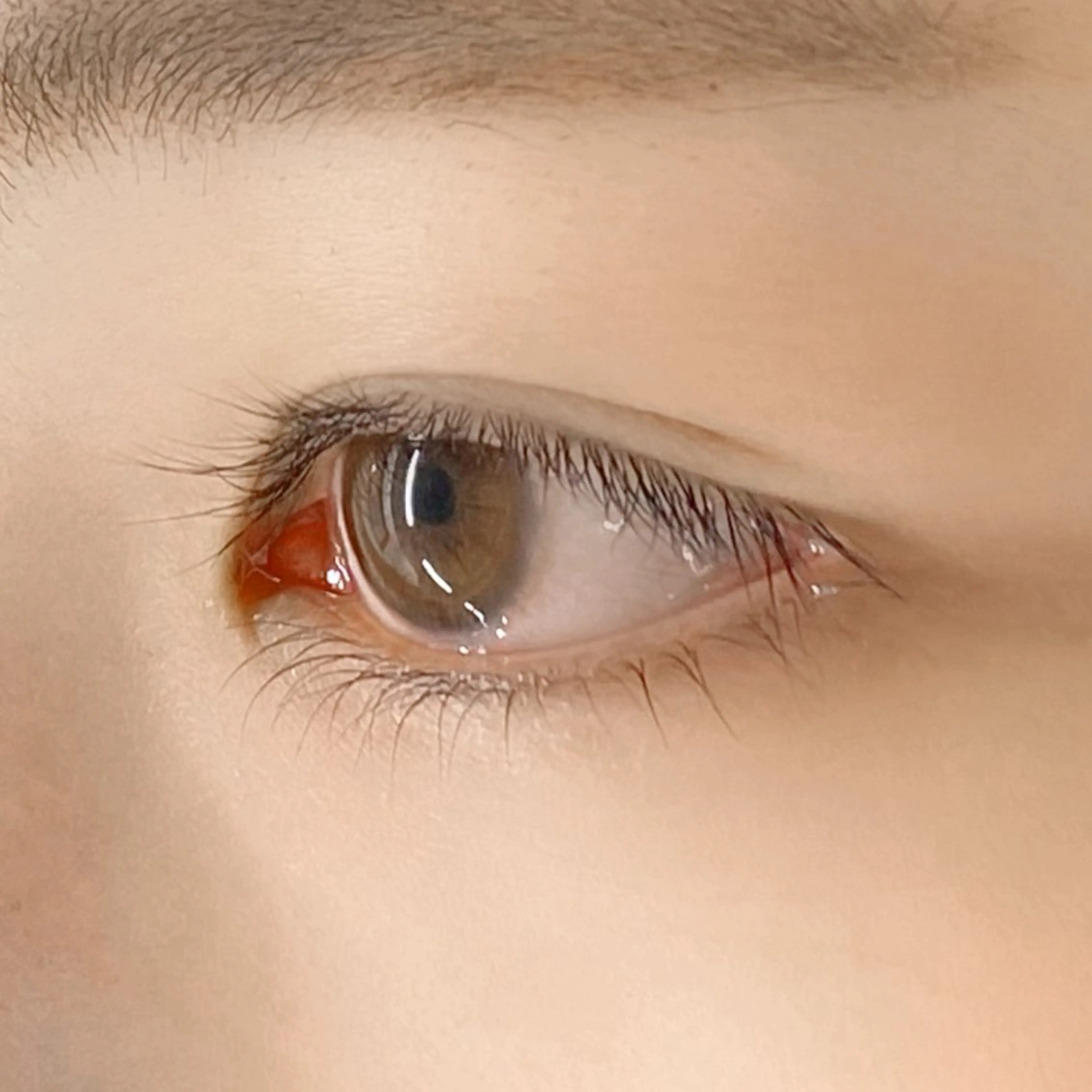 マツエク・マツパ まつげパーマ 下まつげエクステ 一重×まつ毛パーマ マツパ U too e's MANAE🌼の眉毛・アイブロウイメージ