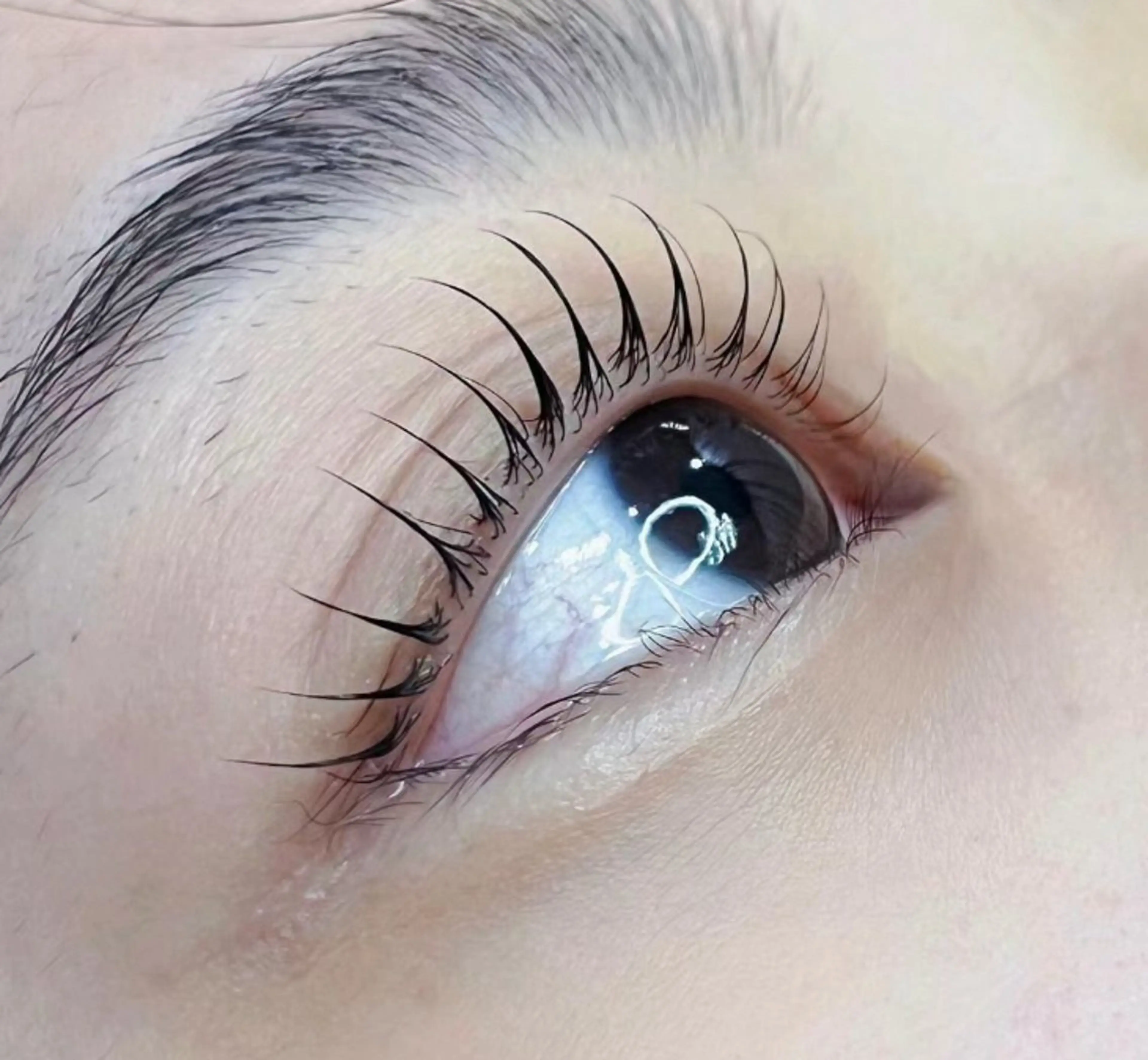 マツエク・マツパ マツパ Eye Glossのマツエク・マツパデザイン