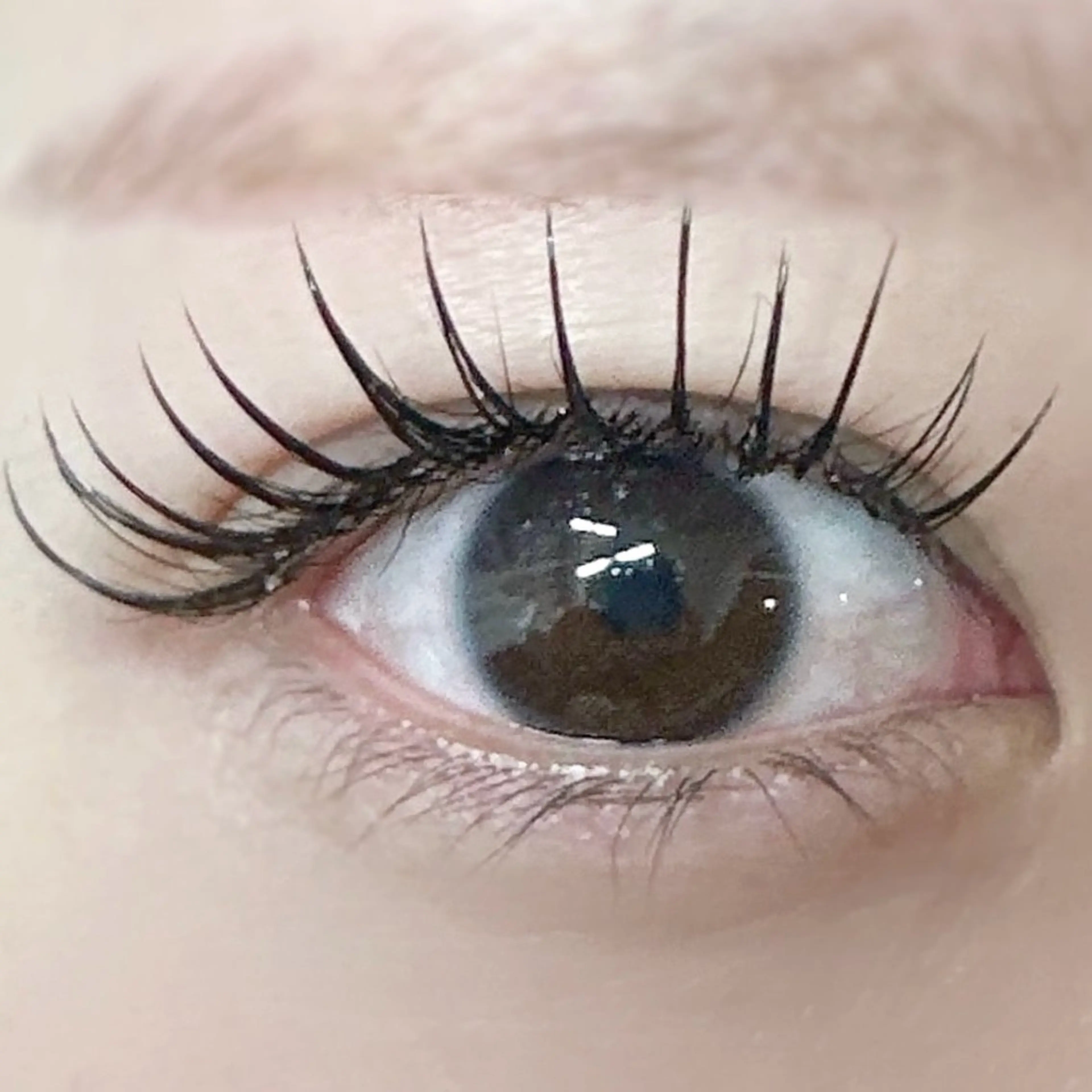 マツエク・マツパ Cカール フラットラッシュ マツエク マツエク専門店 cyunaのマツエク・マツパデザイン