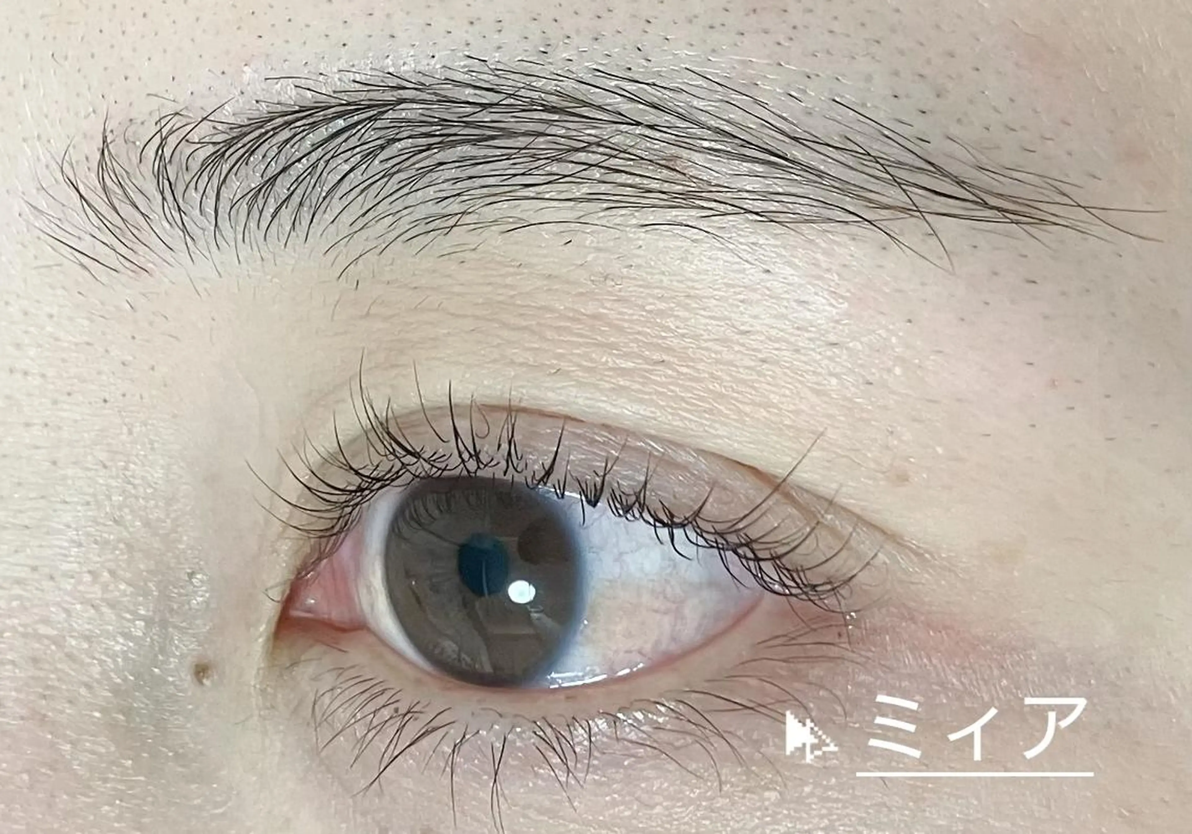 マツエク・マツパ マツパ 両国 ミィアのマツエク・マツパデザイン